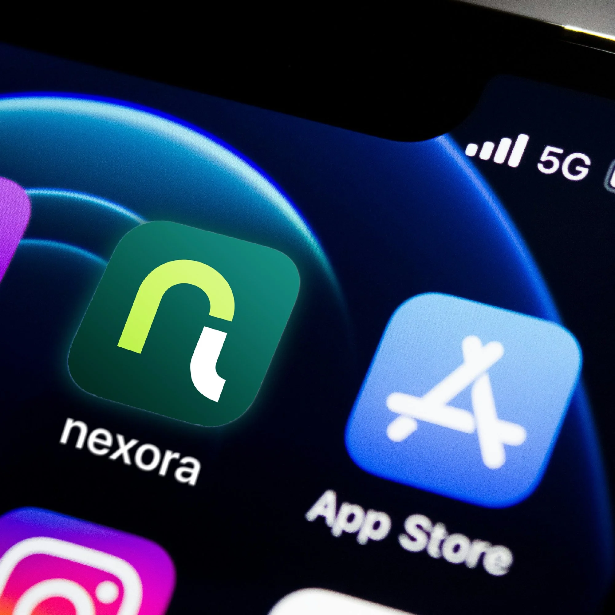 Brand Board - nexora8.jpg