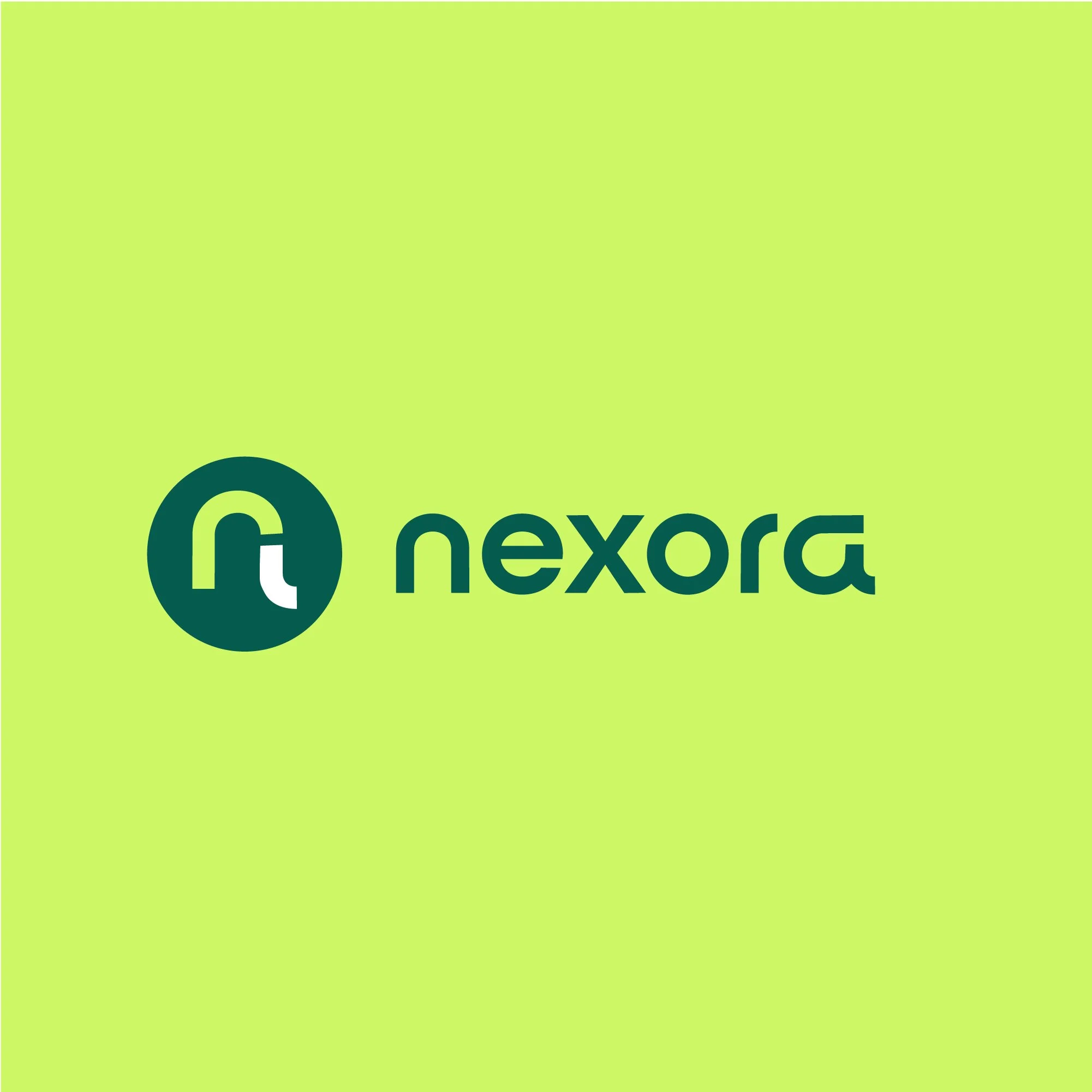 Brand Board - nexora6.jpg