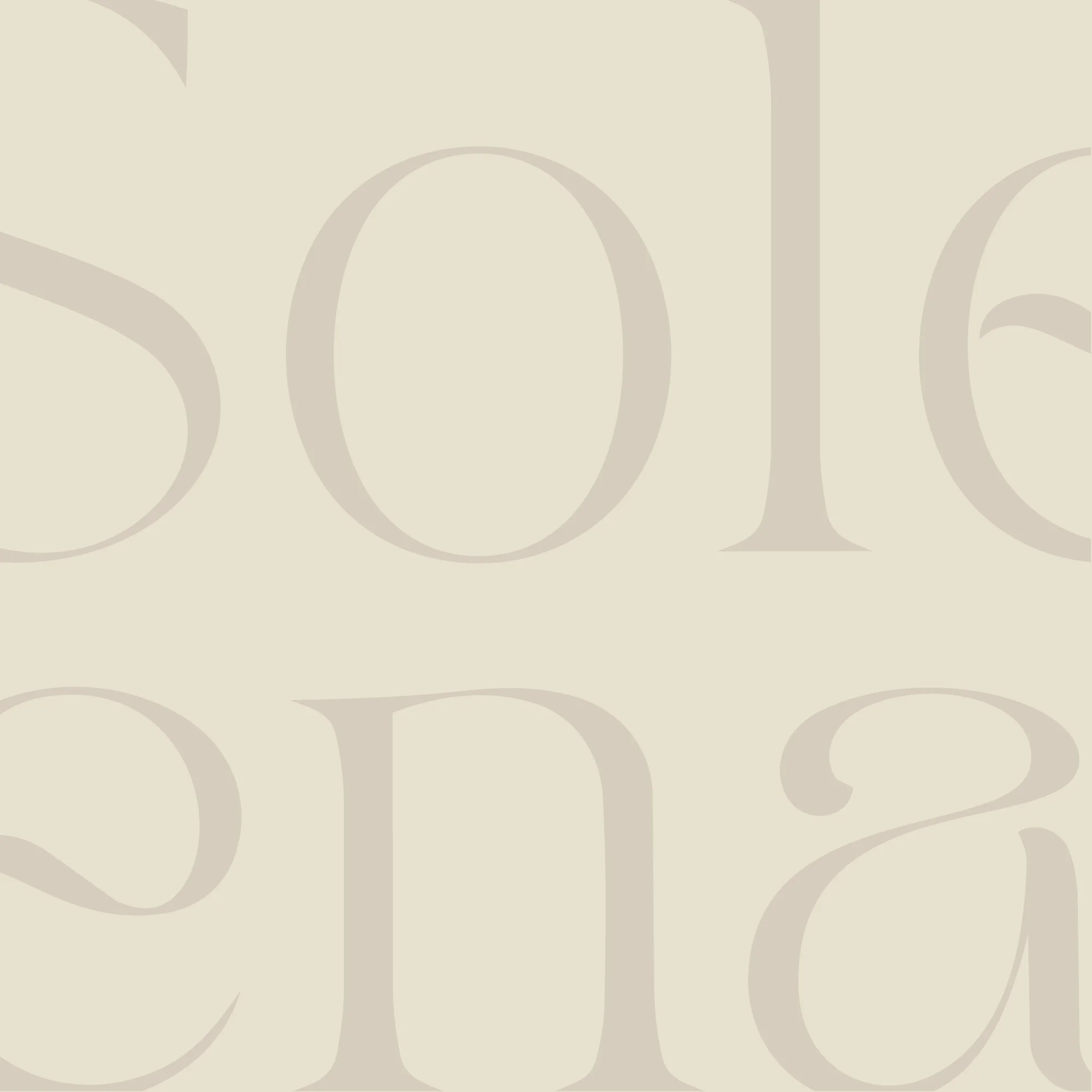 Brand Board - solena8.jpg