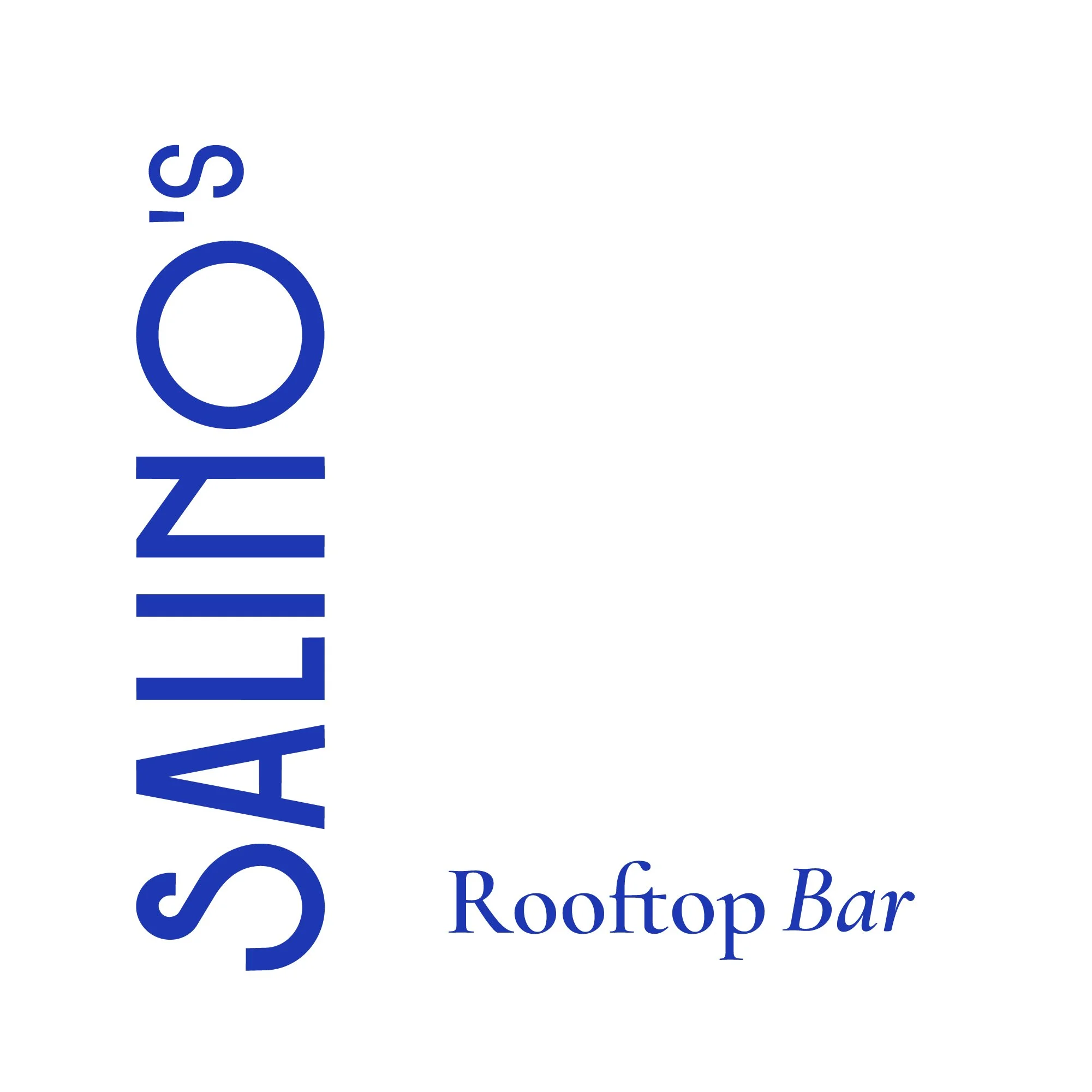 Brand Board - Salinos09.jpg