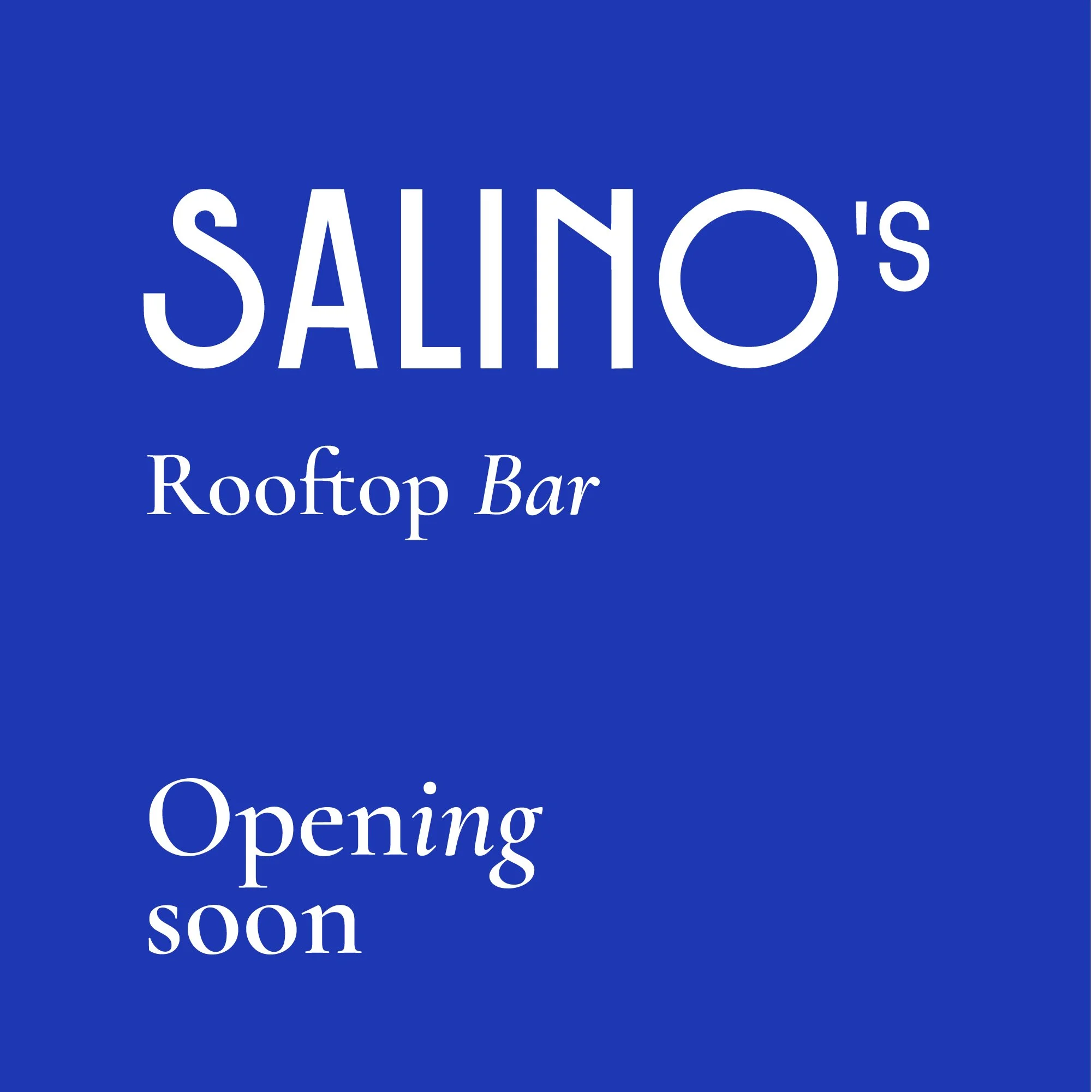 Brand Board - Salinos05.jpg