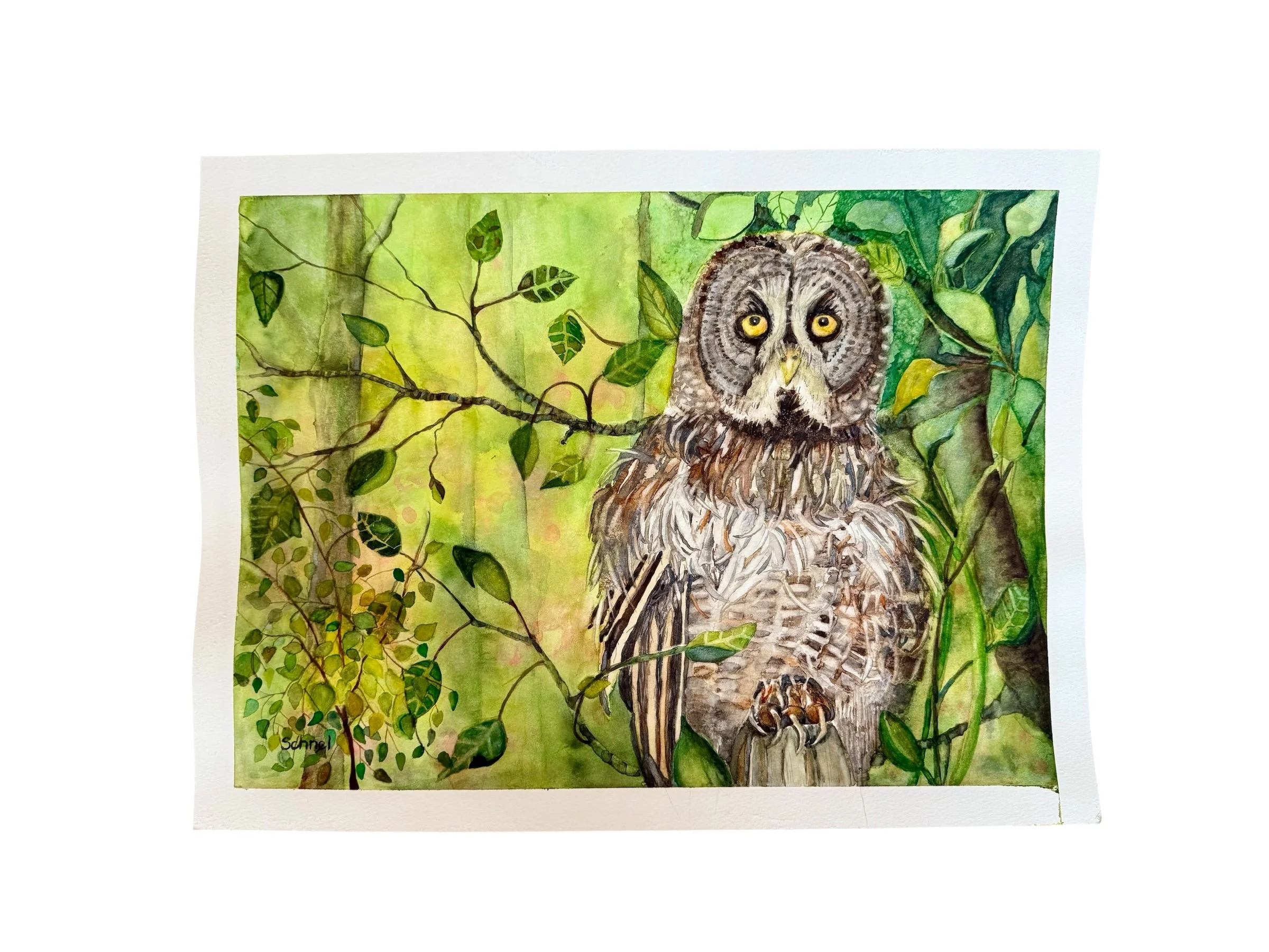 "Wahtowkowin Guardian": Watercolour on 140 CP Paper-available