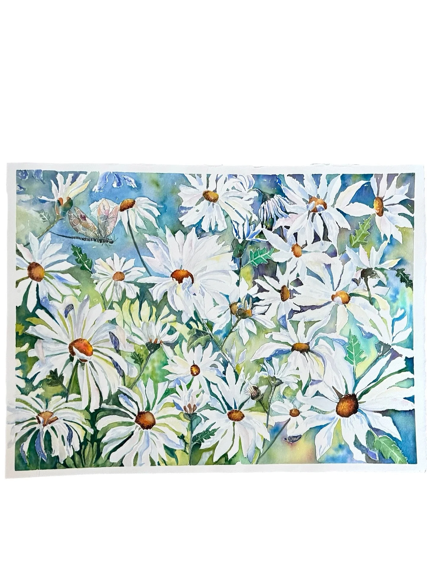 &ldquo;Dreamy Daisy Day&rdquo; is done! I spent over 20 hours on this watercolour painting on 300 gsm CP Arches paper. Added my first dragon fly and used mica pigments highlights to the happy bouquet of 32 daisies. The 14 x 19 painting will be added 