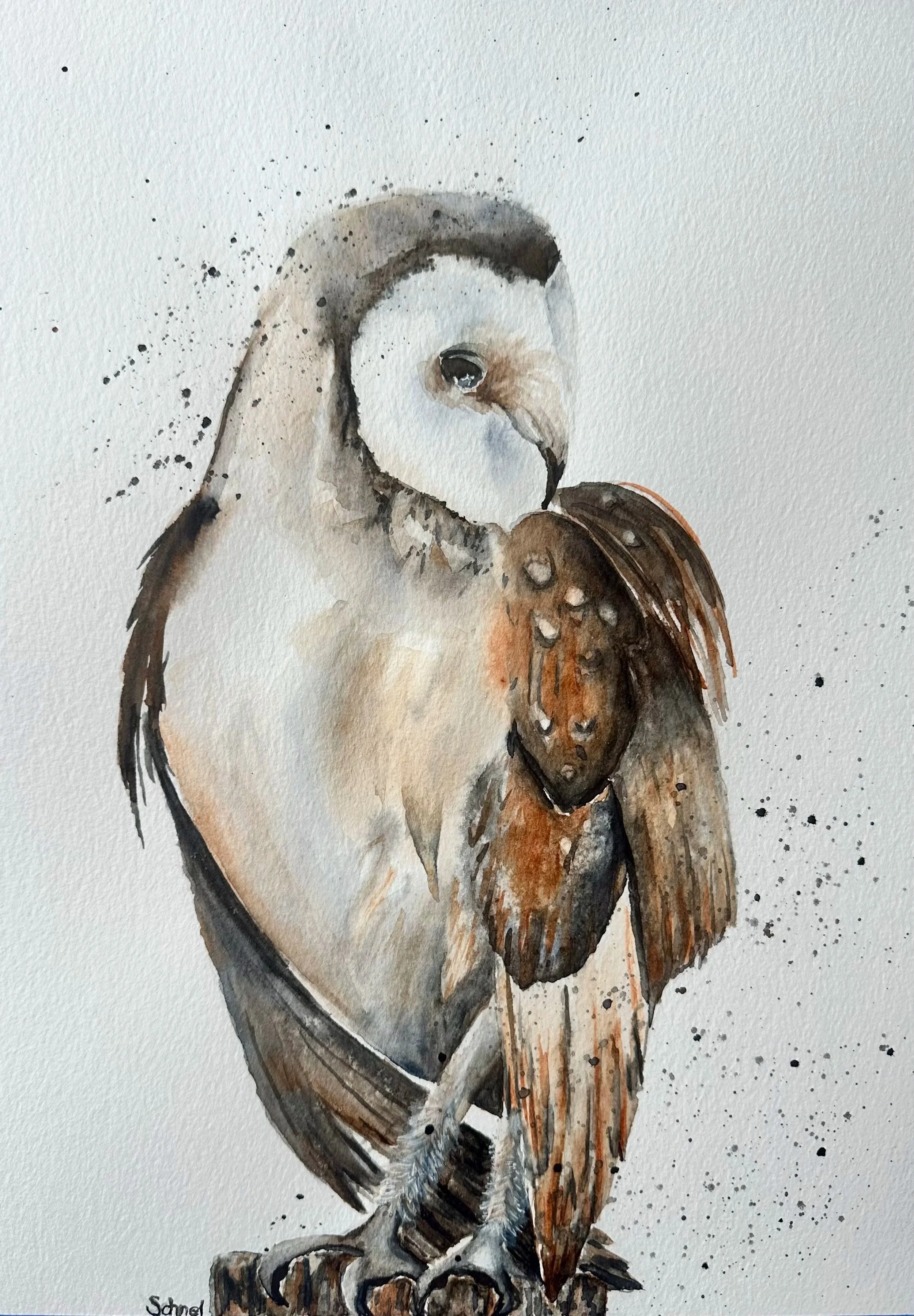 "Burrowing Owl";Watercolour on 140 lb CP Paper-SOLD