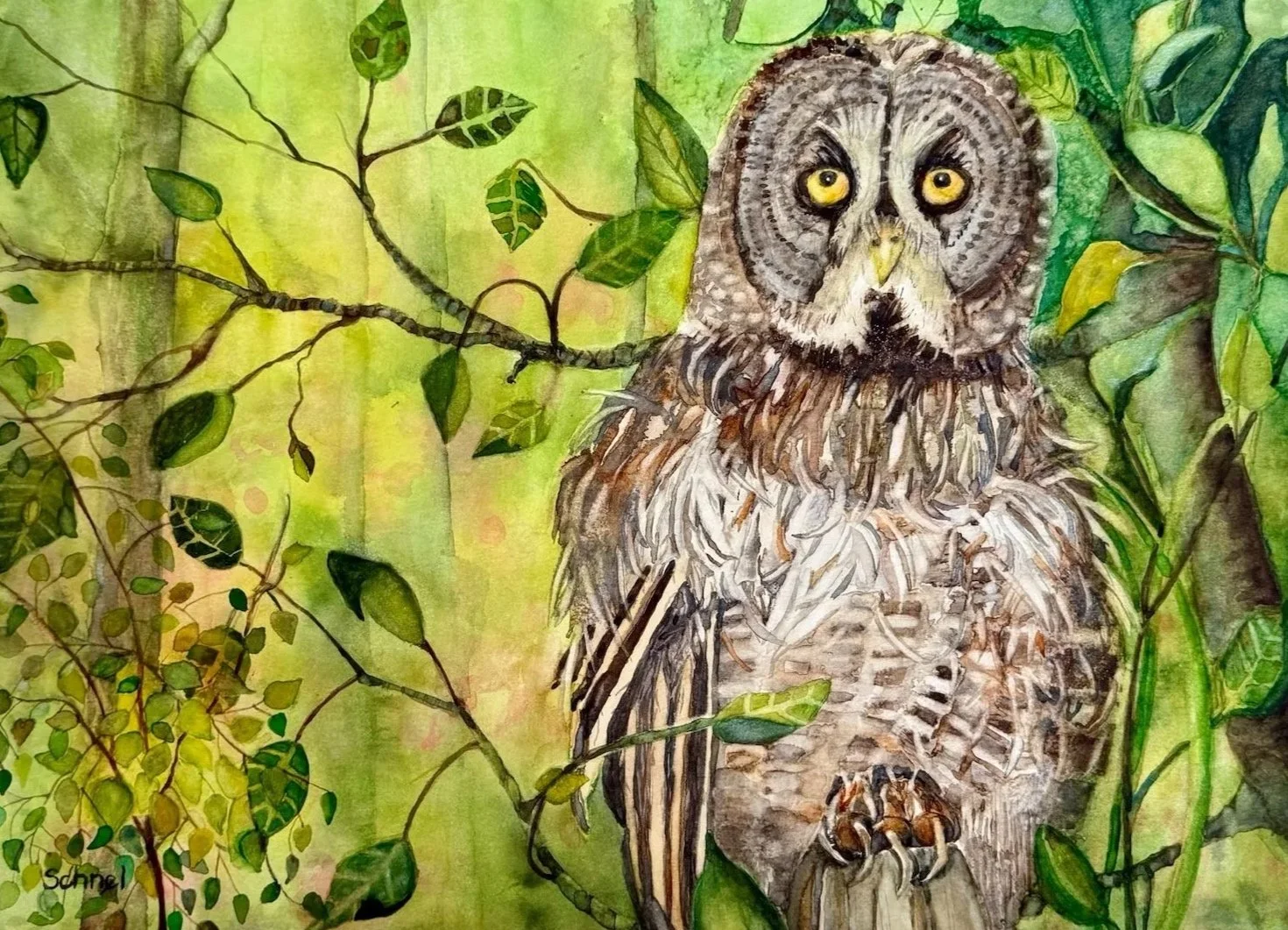 "Wahtowkowin Guardian": Watercolour on 140 CP Paper-available