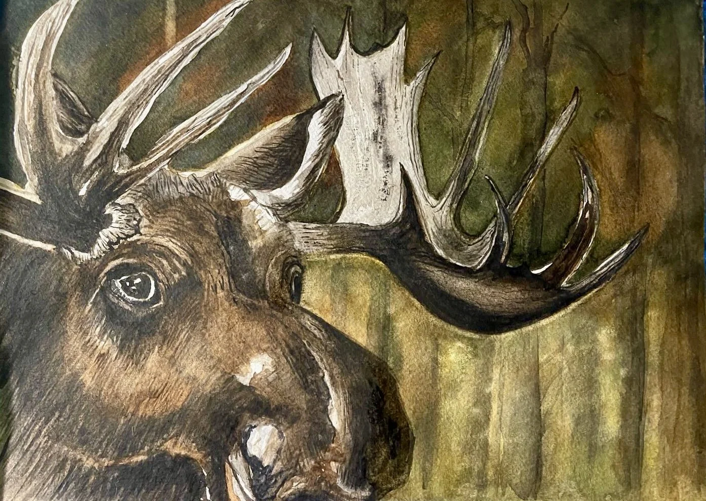 "Marshland Visitor": Watercolour on 140 lb CP Paper-Sold