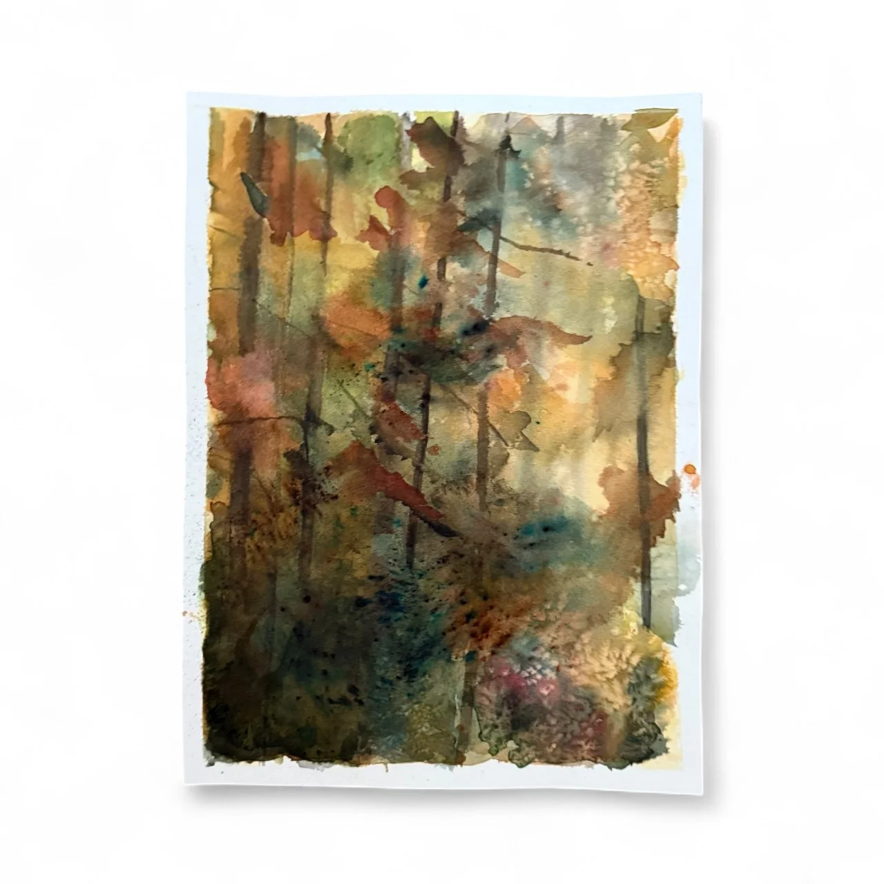 Autumn Haze