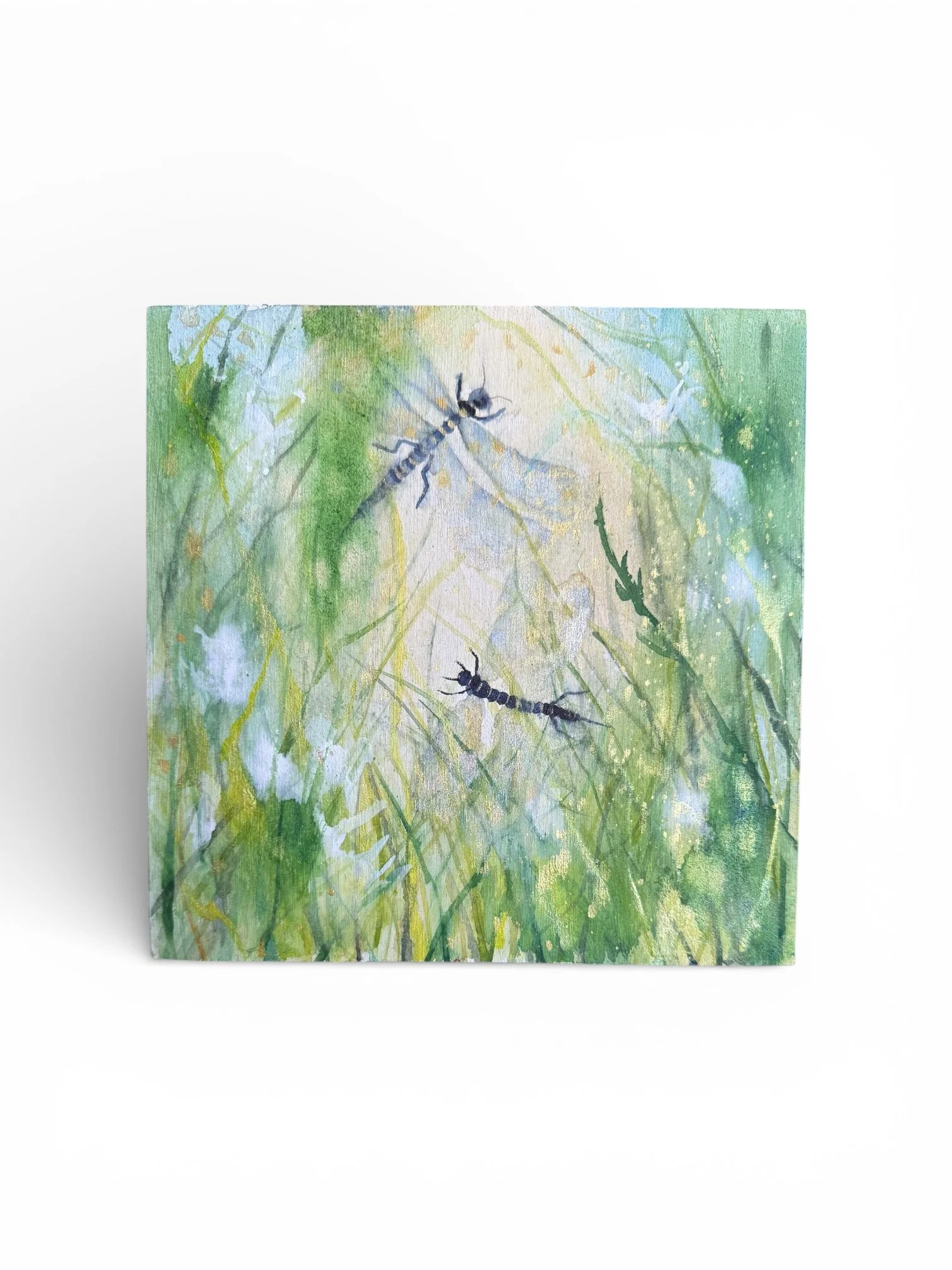 " Wings of Radiance"- Watercolour on Ground Prepped Canvas- available