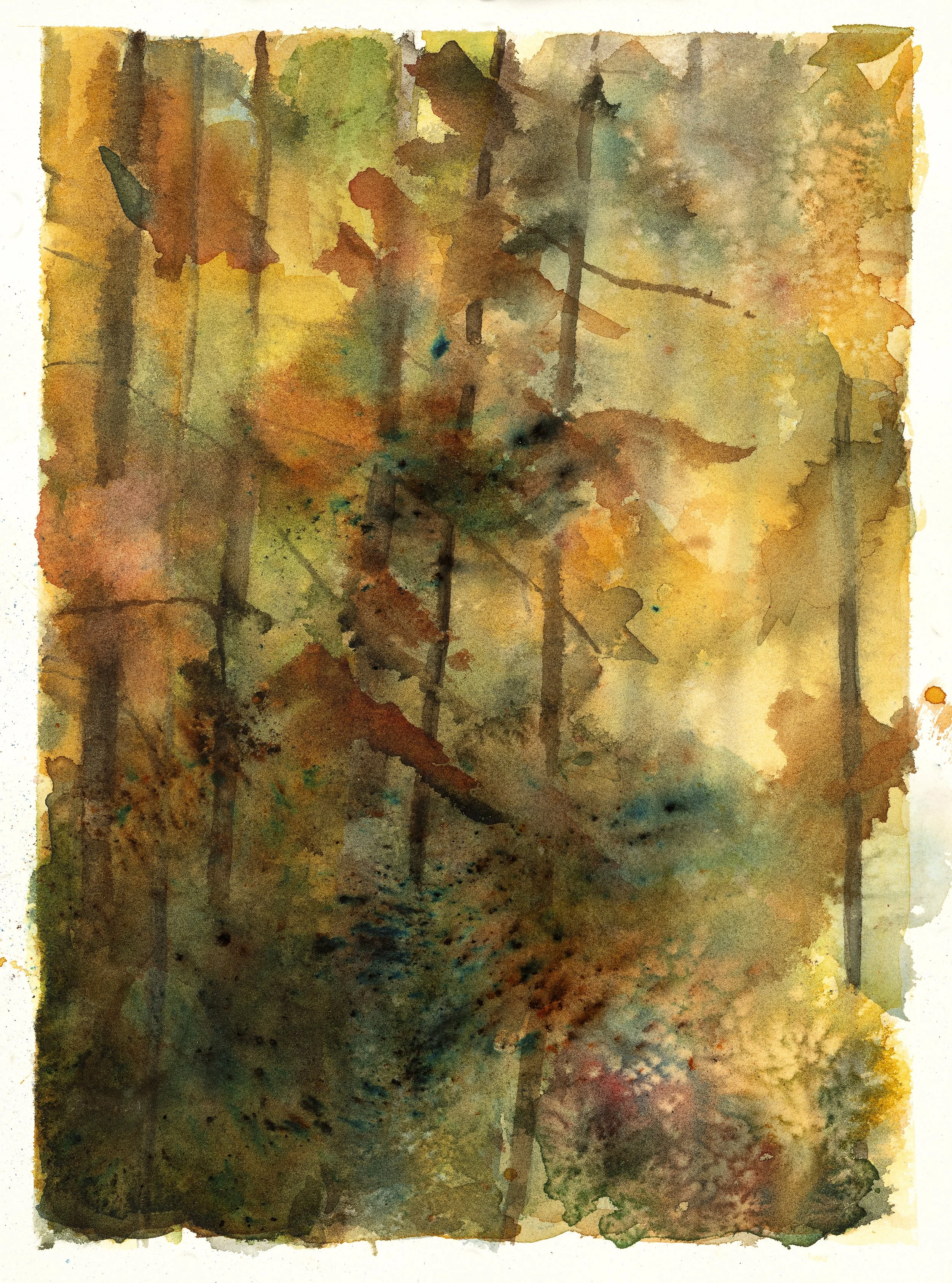 "Autumn Haze": Watercolour on CP 140 lb paper-available