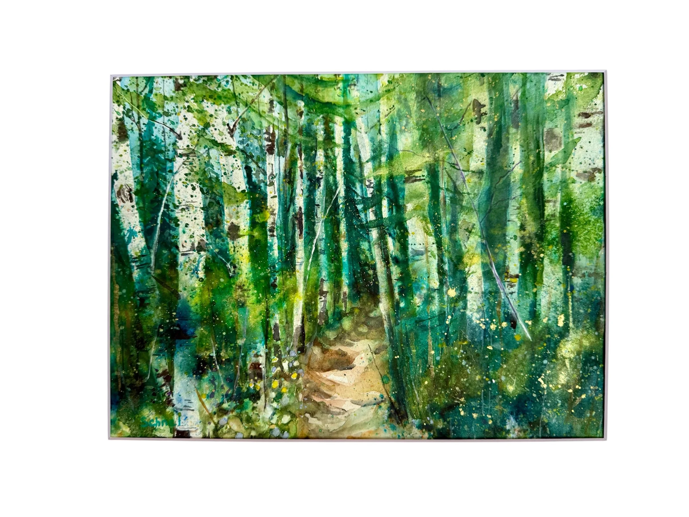 Where the Forest Opens