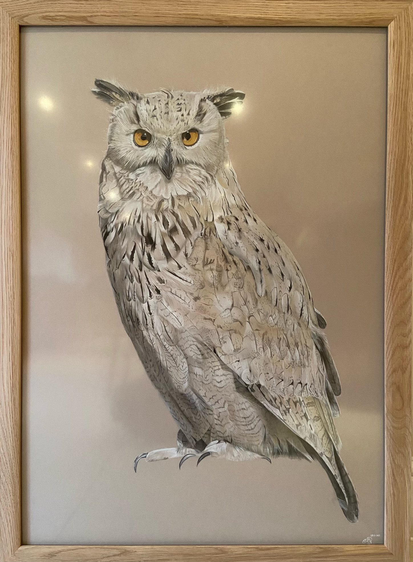 Owl study, 2021