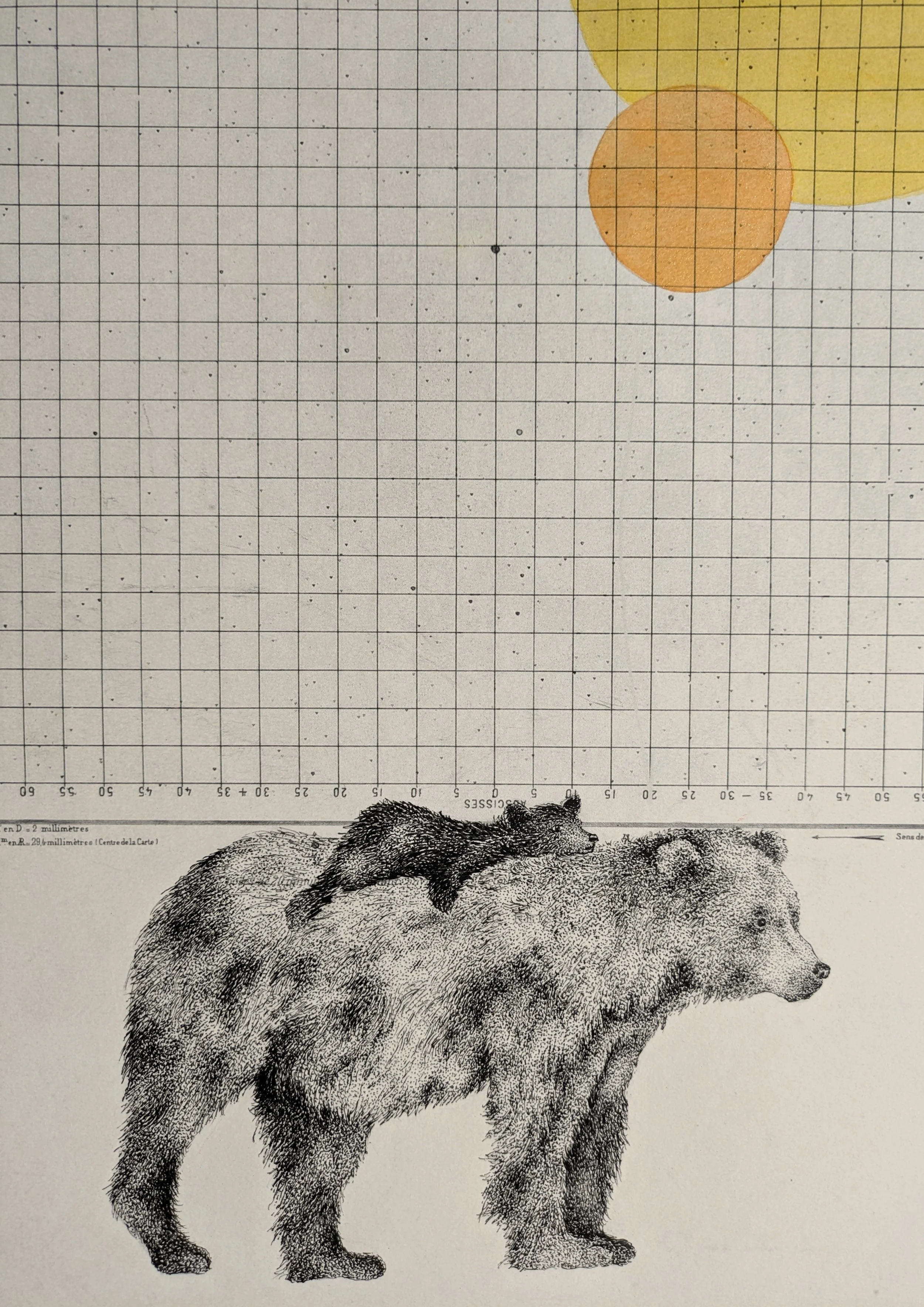 dessin dans l'expo 2.jpg