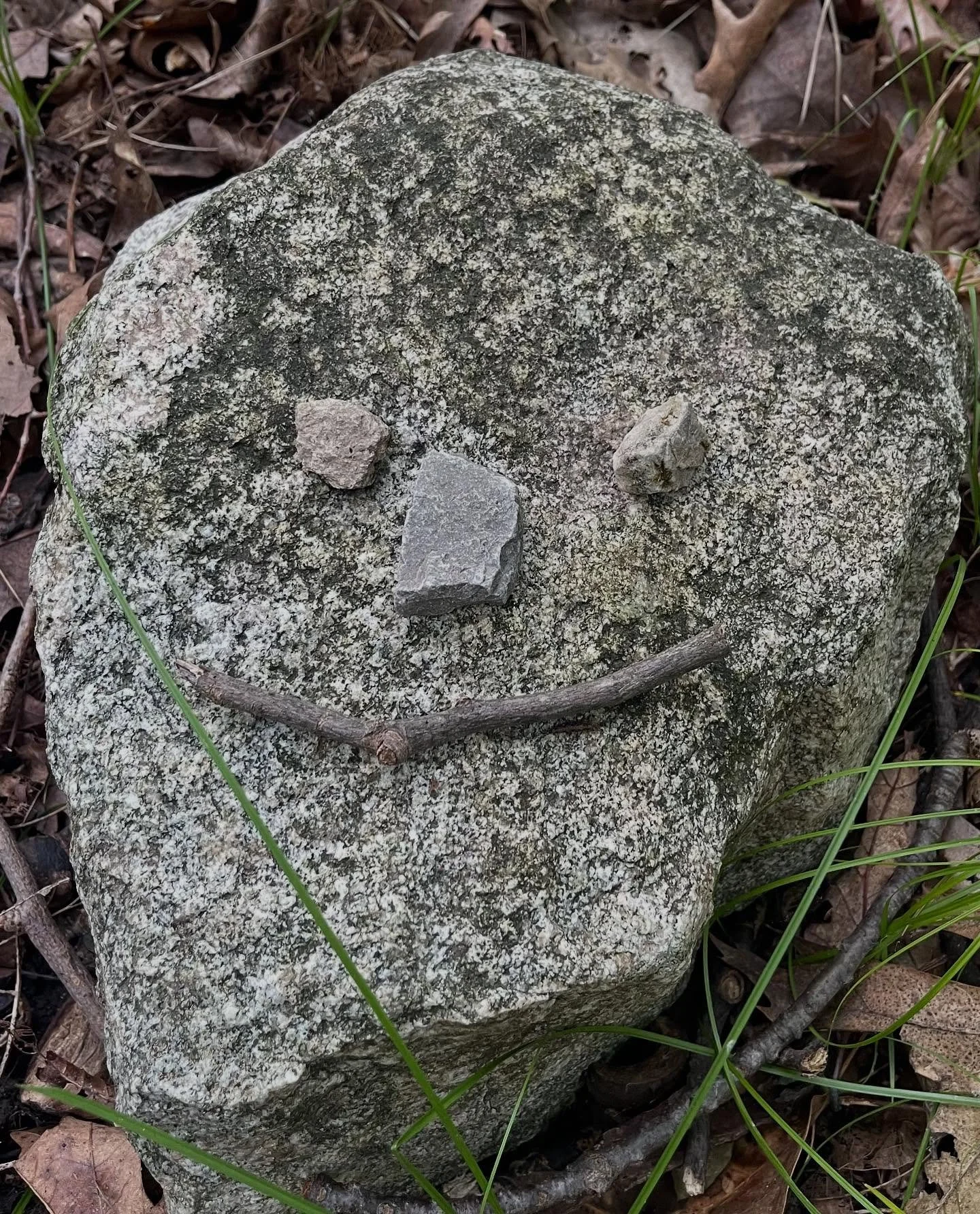 🌿 This week I woke up in fog, carrying the weight of everything. But I made one small decision: to put my shoes by the door and slip into the woods alone at dawn.
And there it was waiting for me: this smiling stone. A reminder that the universe resp