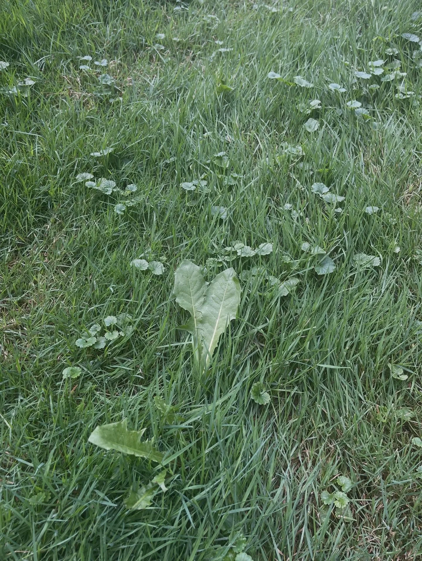 Back in January, I challenged myself to spot hearts everywhere I went. At first, I had to remind myself daily. Now, nine months later, I don&rsquo;t even try&mdash;they just appear. On walks, while running errands, even in the most ordinary places. E