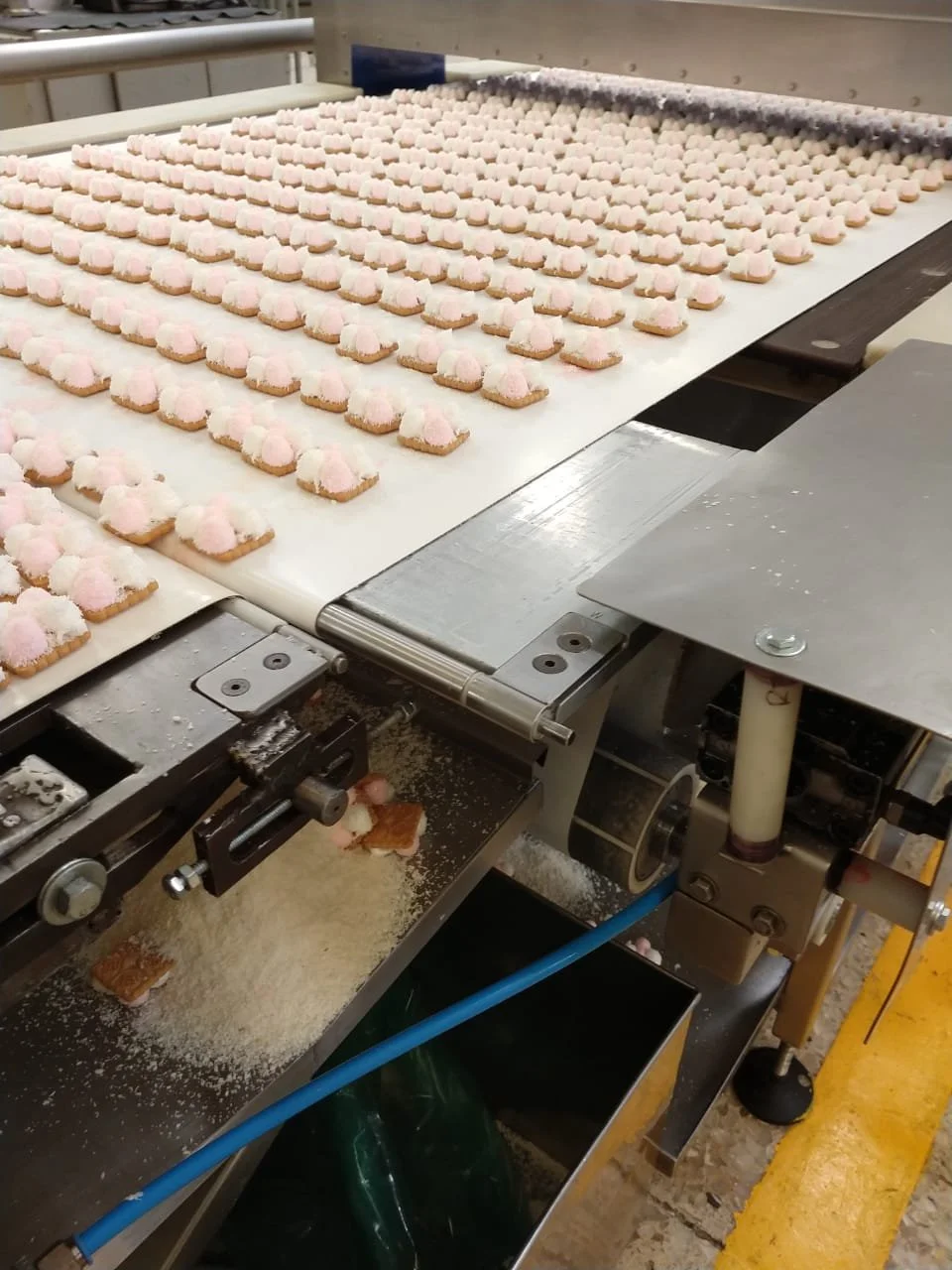 Imagen de WhatsApp 2025-04-21 a las 13.02.27_54ac2d90.jpg