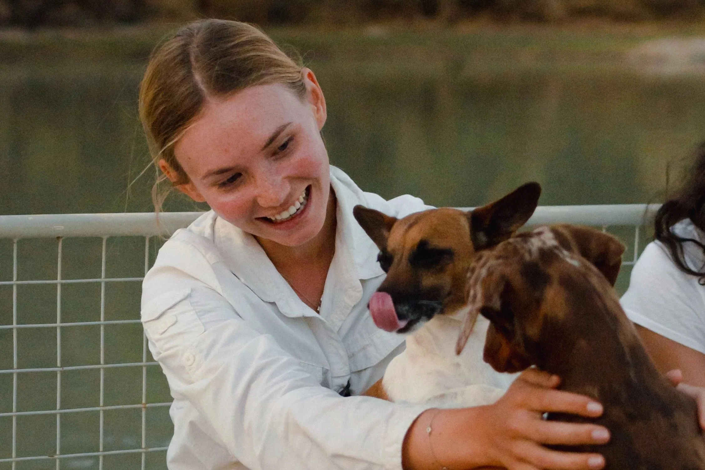 A Volunteer smiling and playing with two dogs, a brown and white one and a darker brown one, near a body of water.