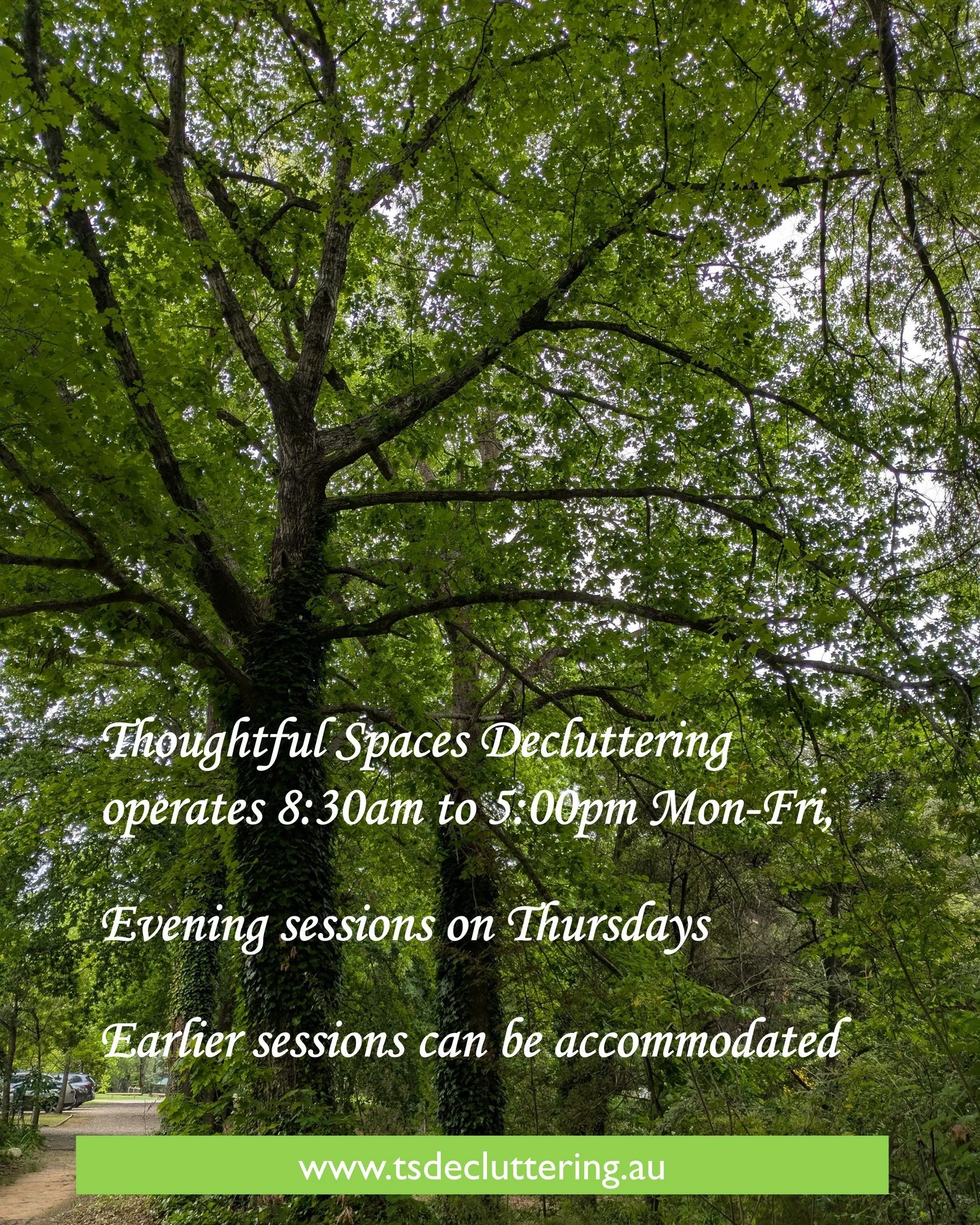 FAQ: When are you open for business?

Thoughtful Spaces Decluttering operates 8:30am to 5:00pm Mon-Fri, with evening sessions available on Thursdays. Earlier sessions can be accommodated.

As a sole trader I can offer flexibility. Because not everyon