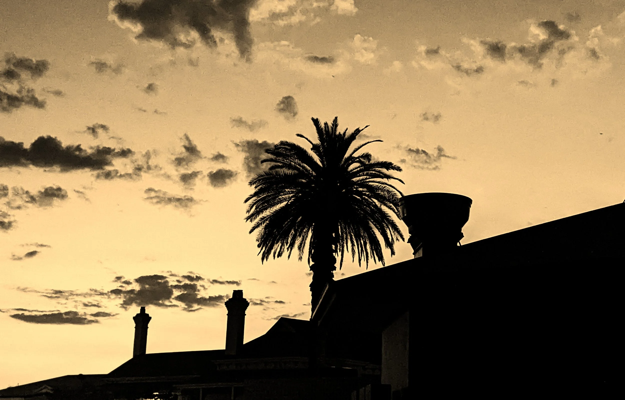 Business Card Background Sepia.jpg