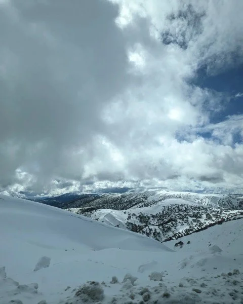 Victoria's high country. Thoughtful Spaces Decluttering