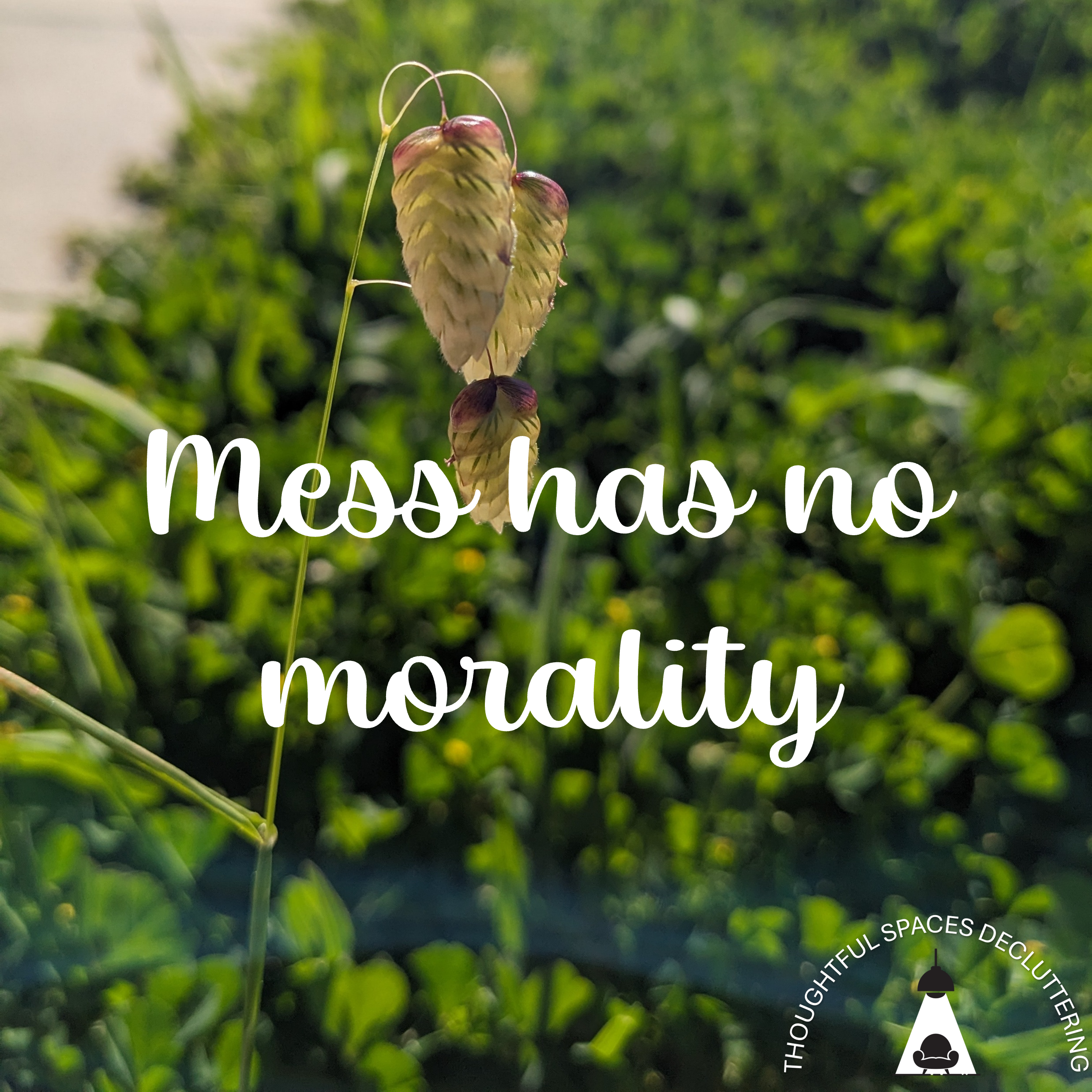 Mess has no morality. Thoughtful Spaces Decluttering philosophy
