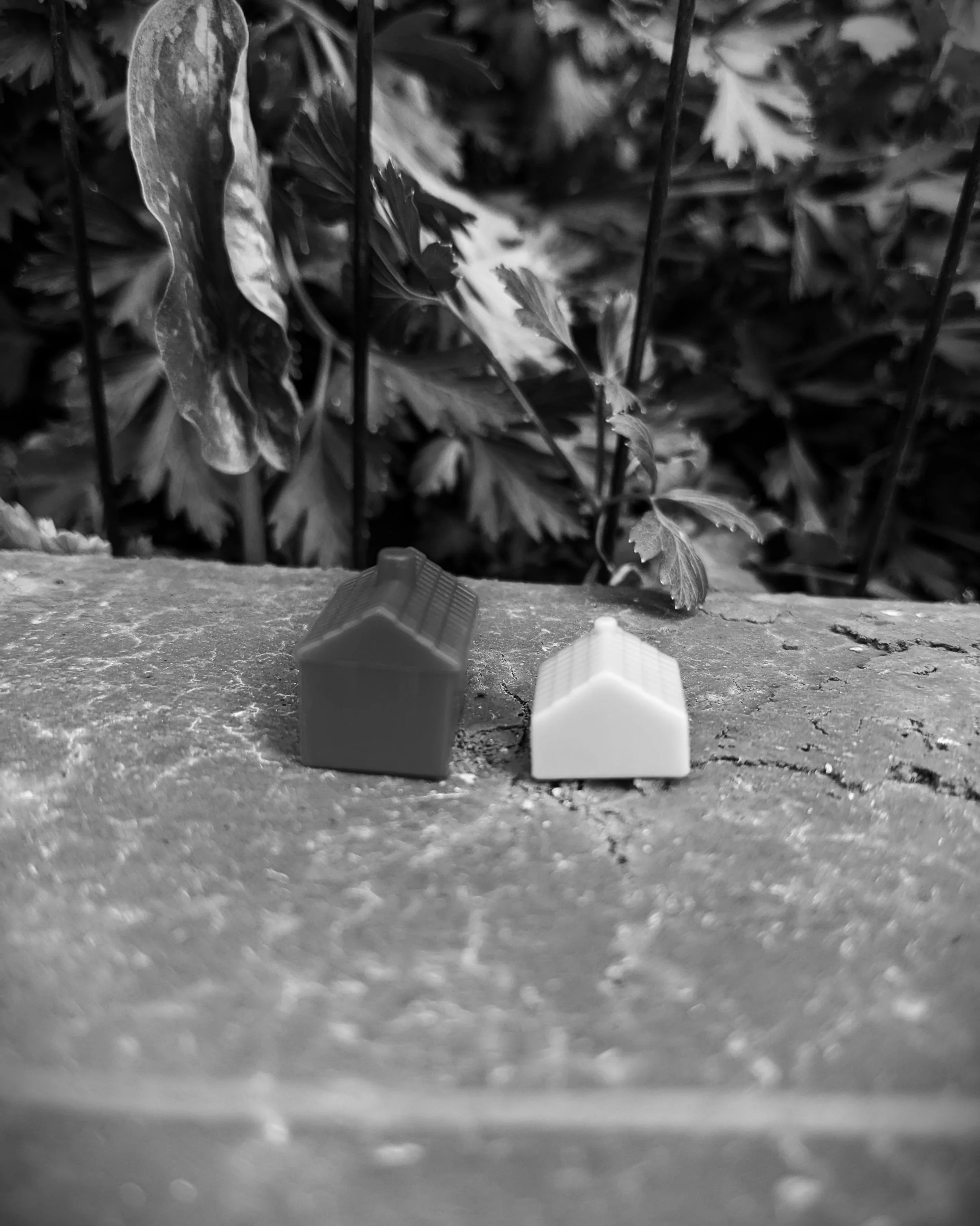 Moving home, home for sale, house for sale, packing, downsize, deceased estate, staging professional organiser, Wangaratta, Victoria