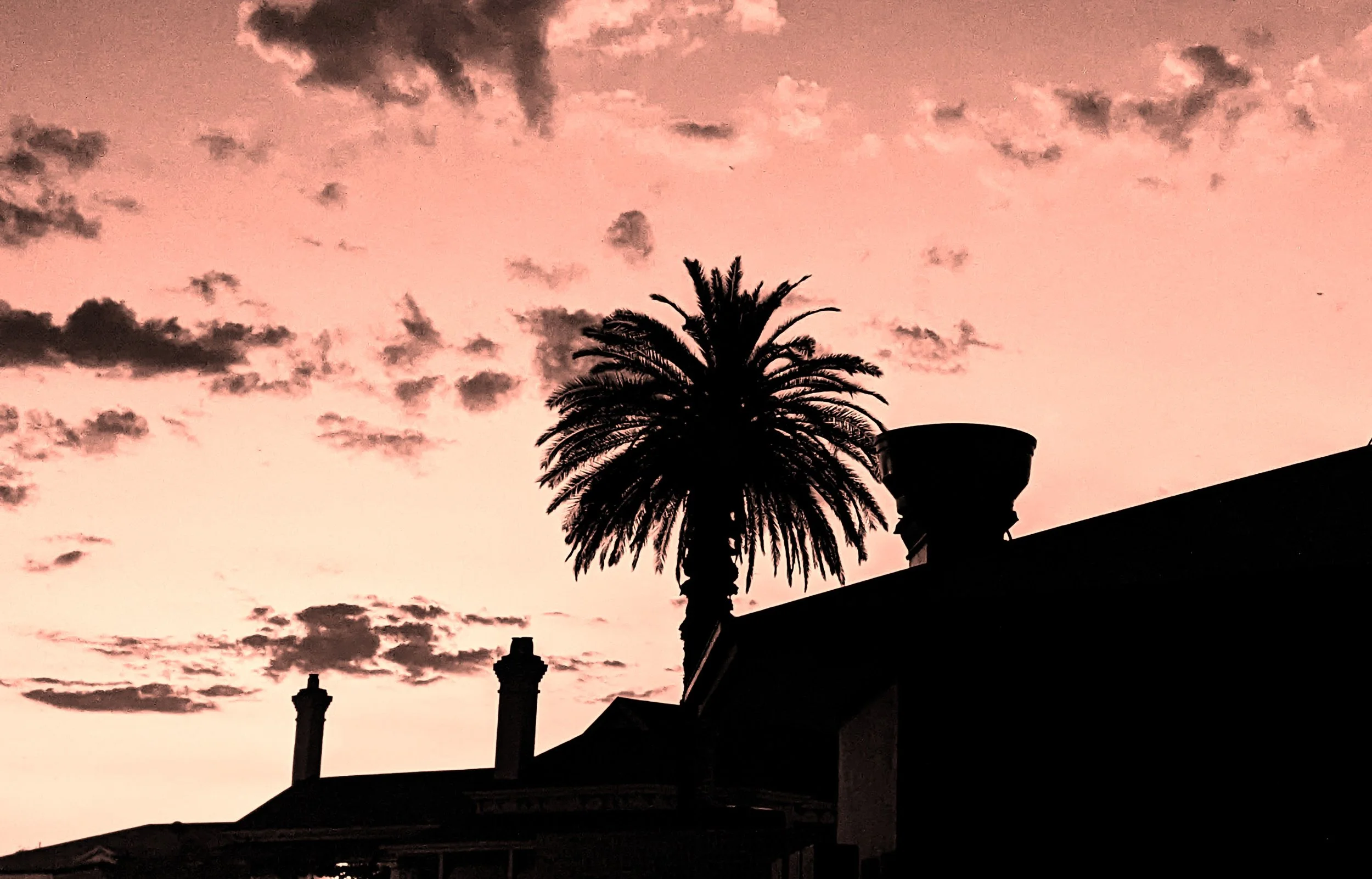 Business Card Background B&W Orange.jpg