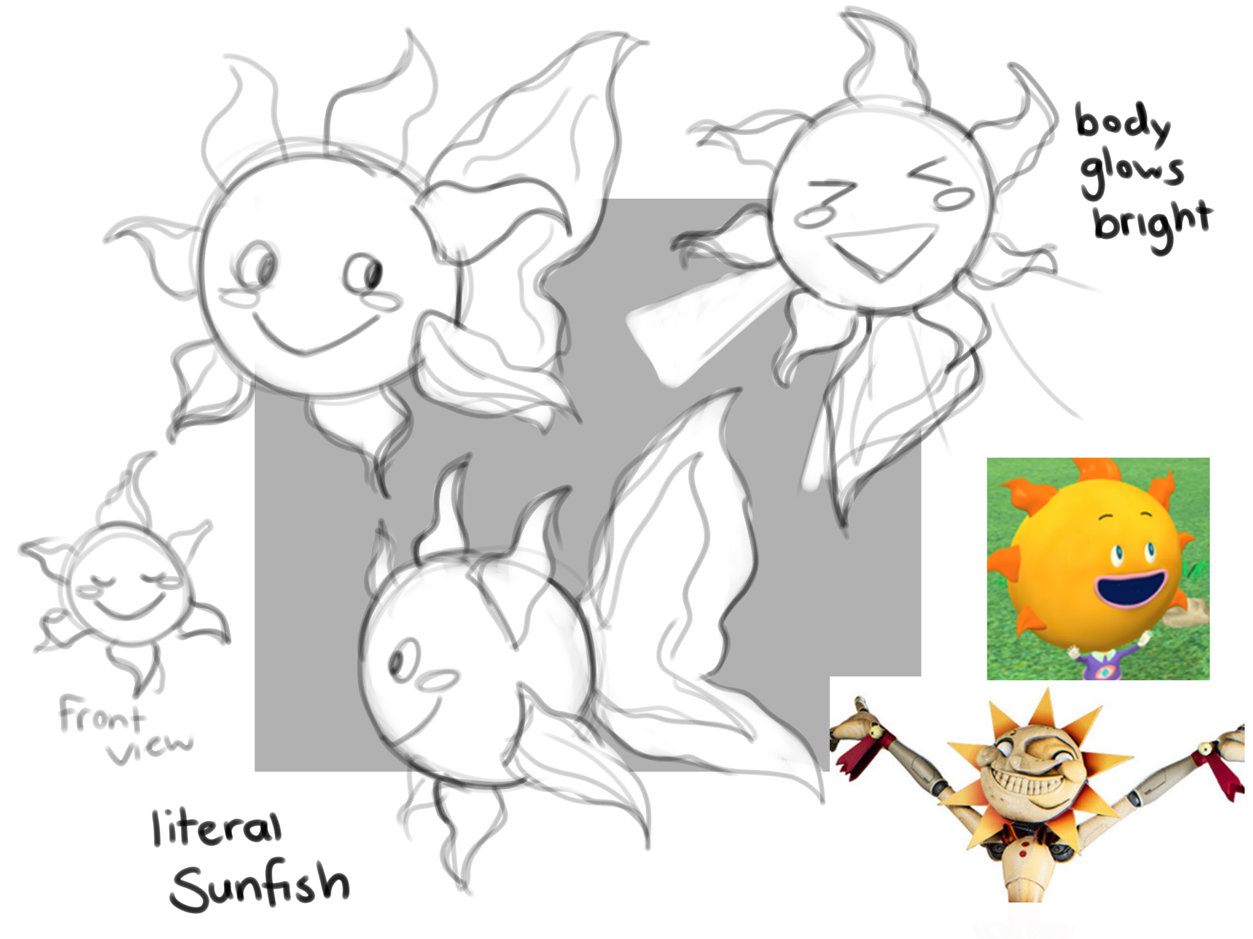 sunfish_sketch5.png