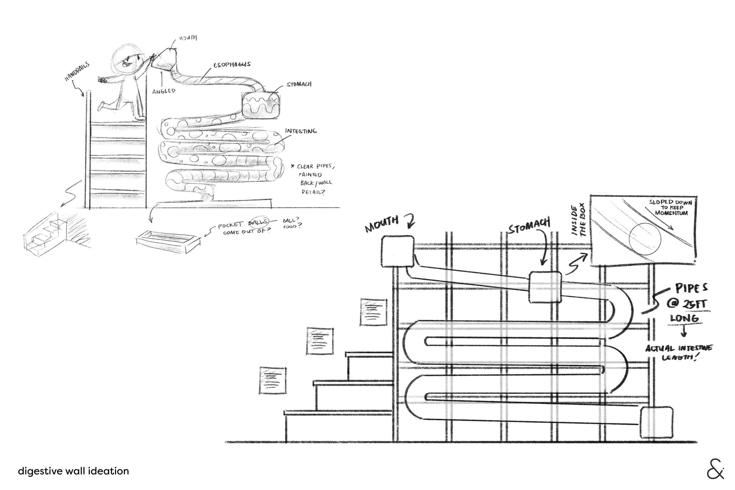 [MP] Digestive Wall.png