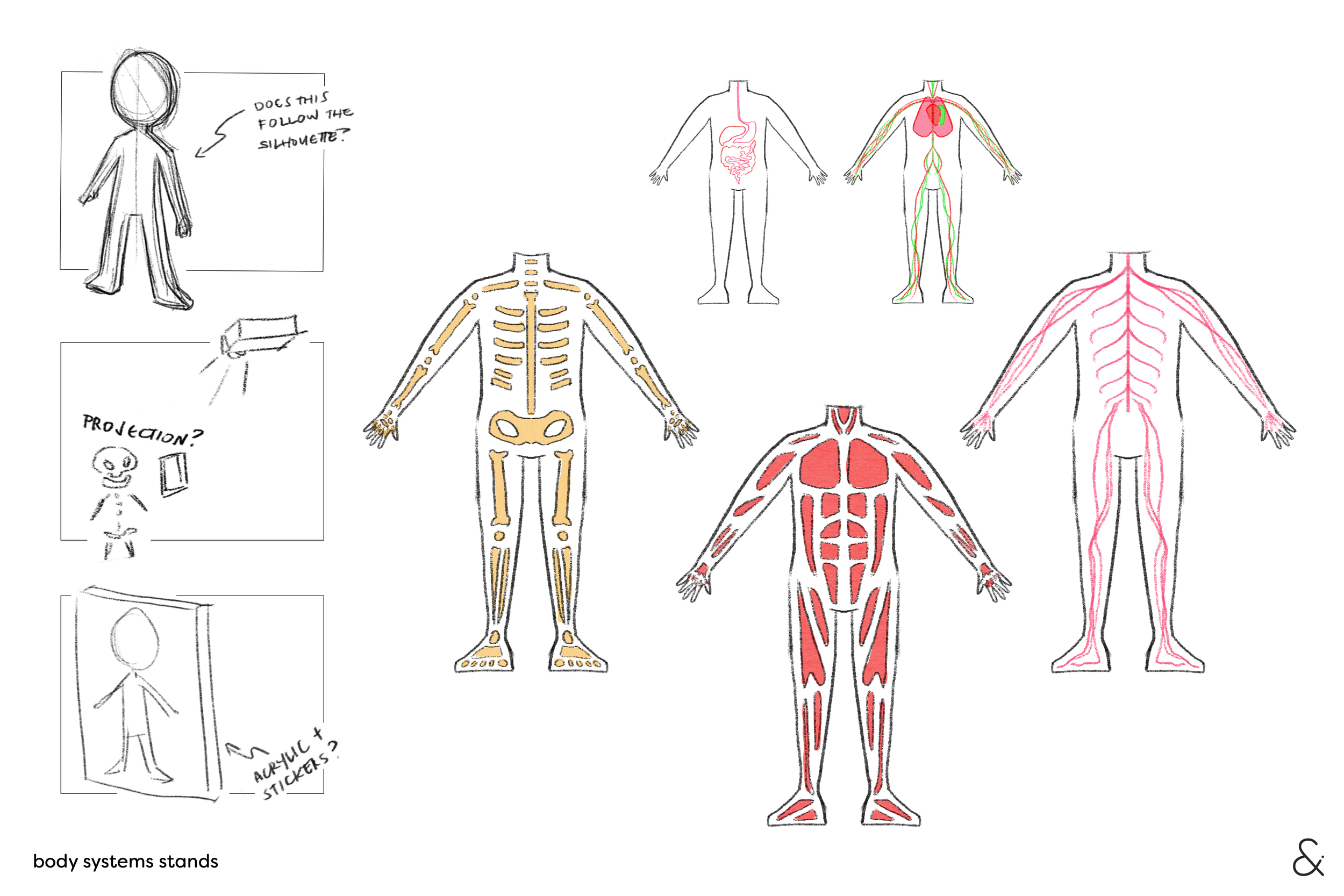 [MP] Body Systems.png