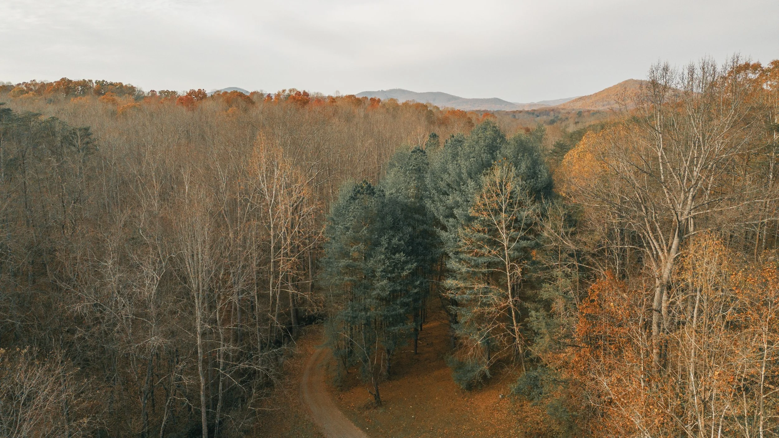 DJI_0278.jpg