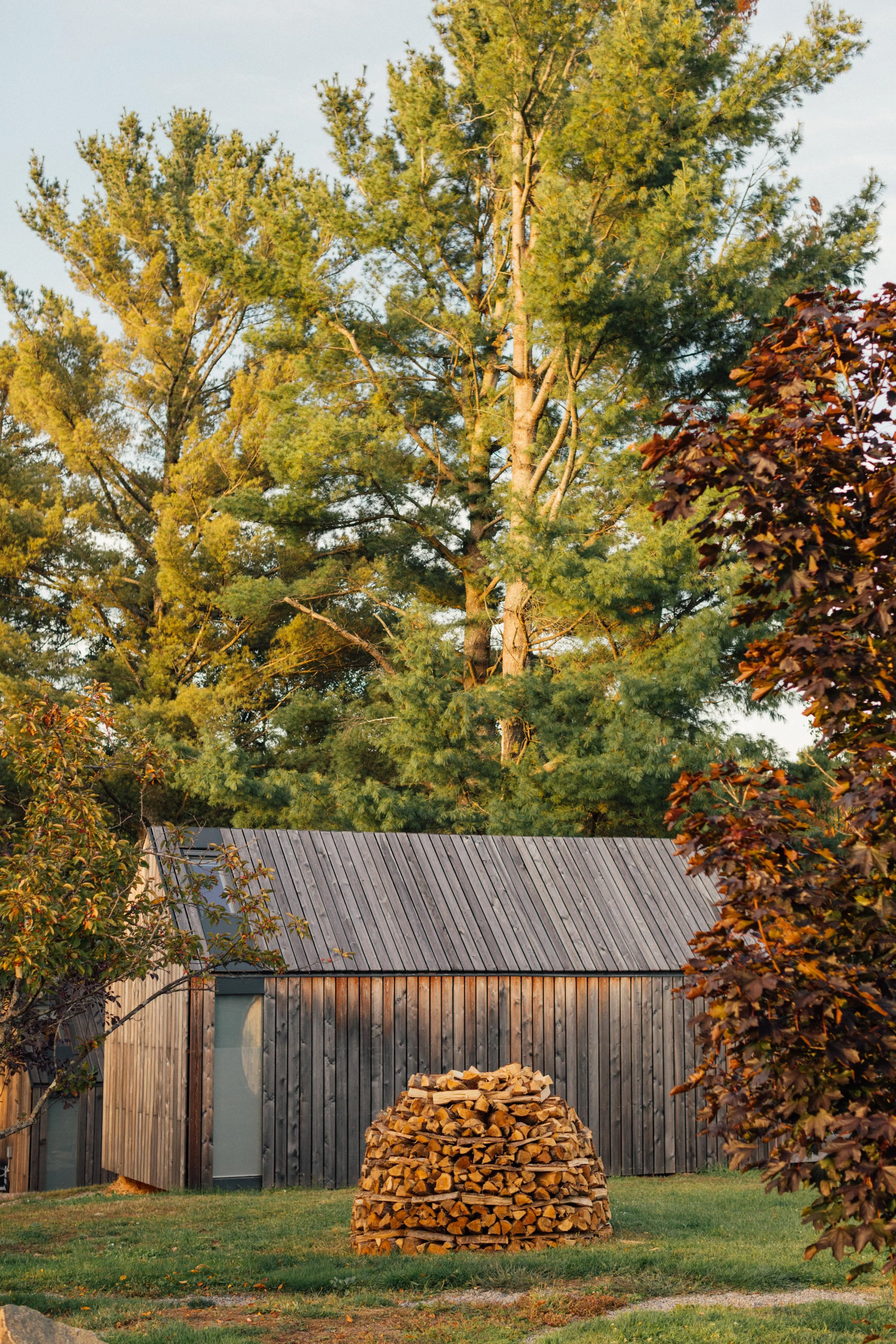 MW1_1002-Edit.jpg