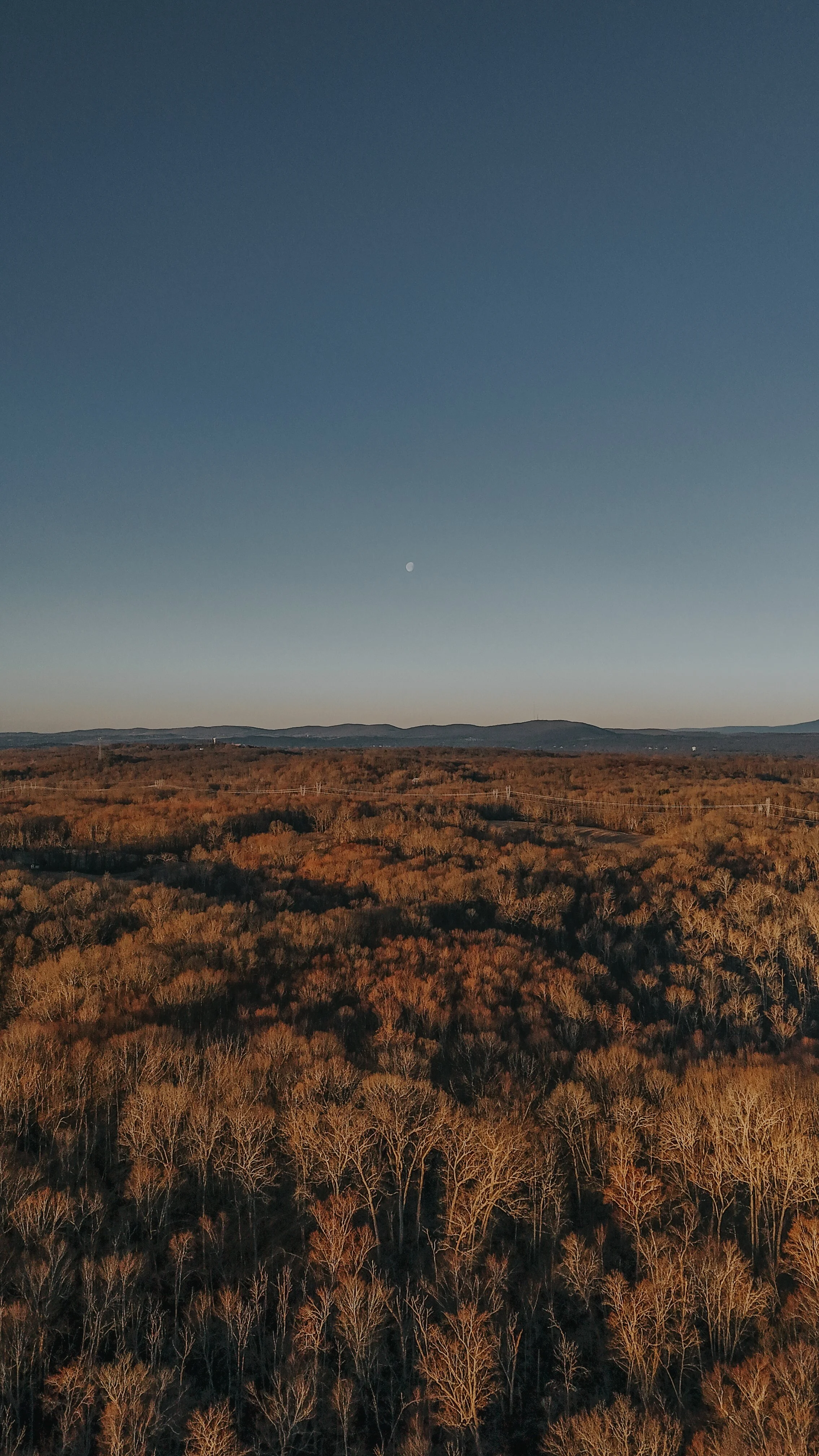 DJI_20250318073610_0040_D.jpg
