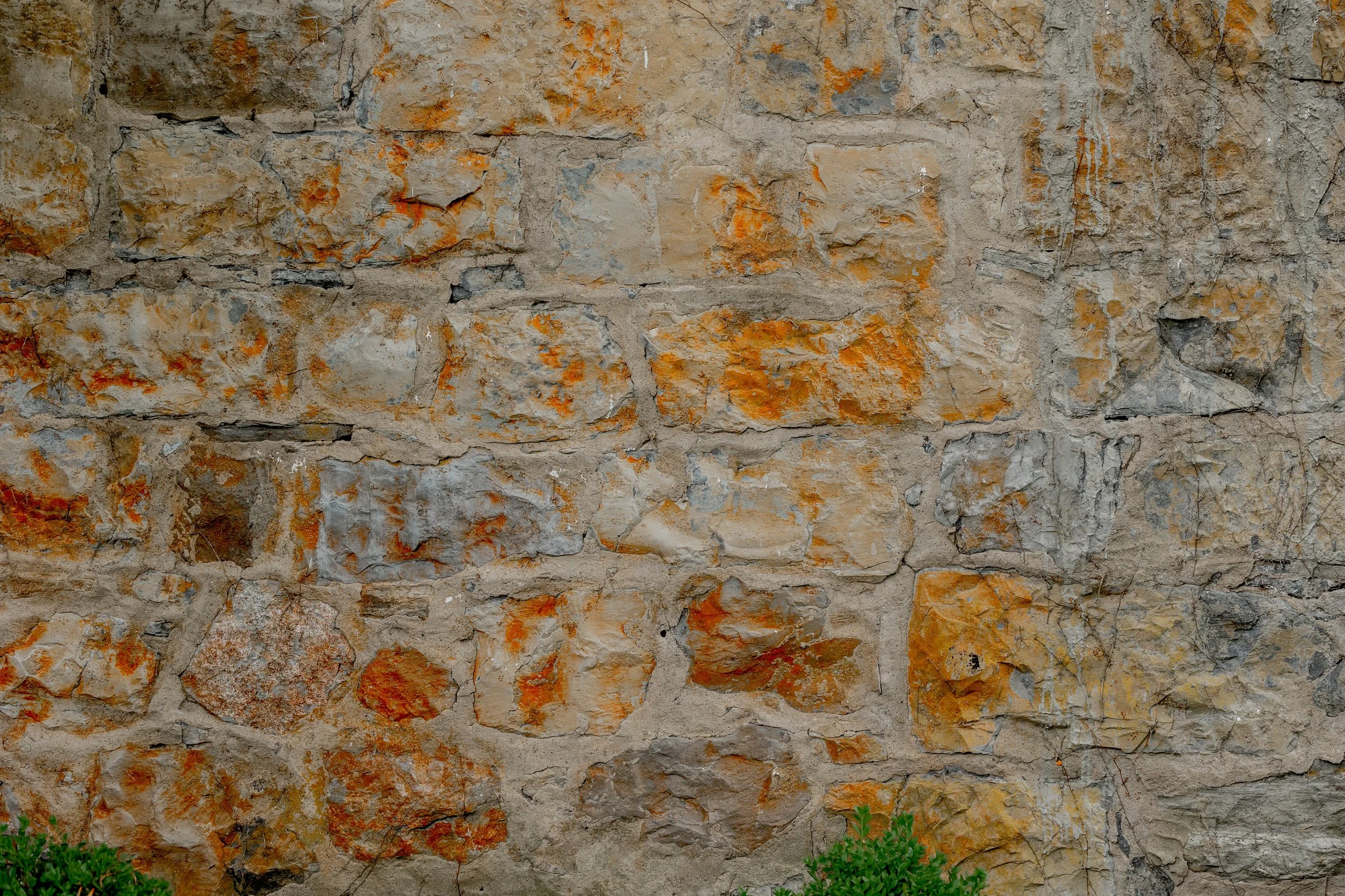 CA6A0710.jpg