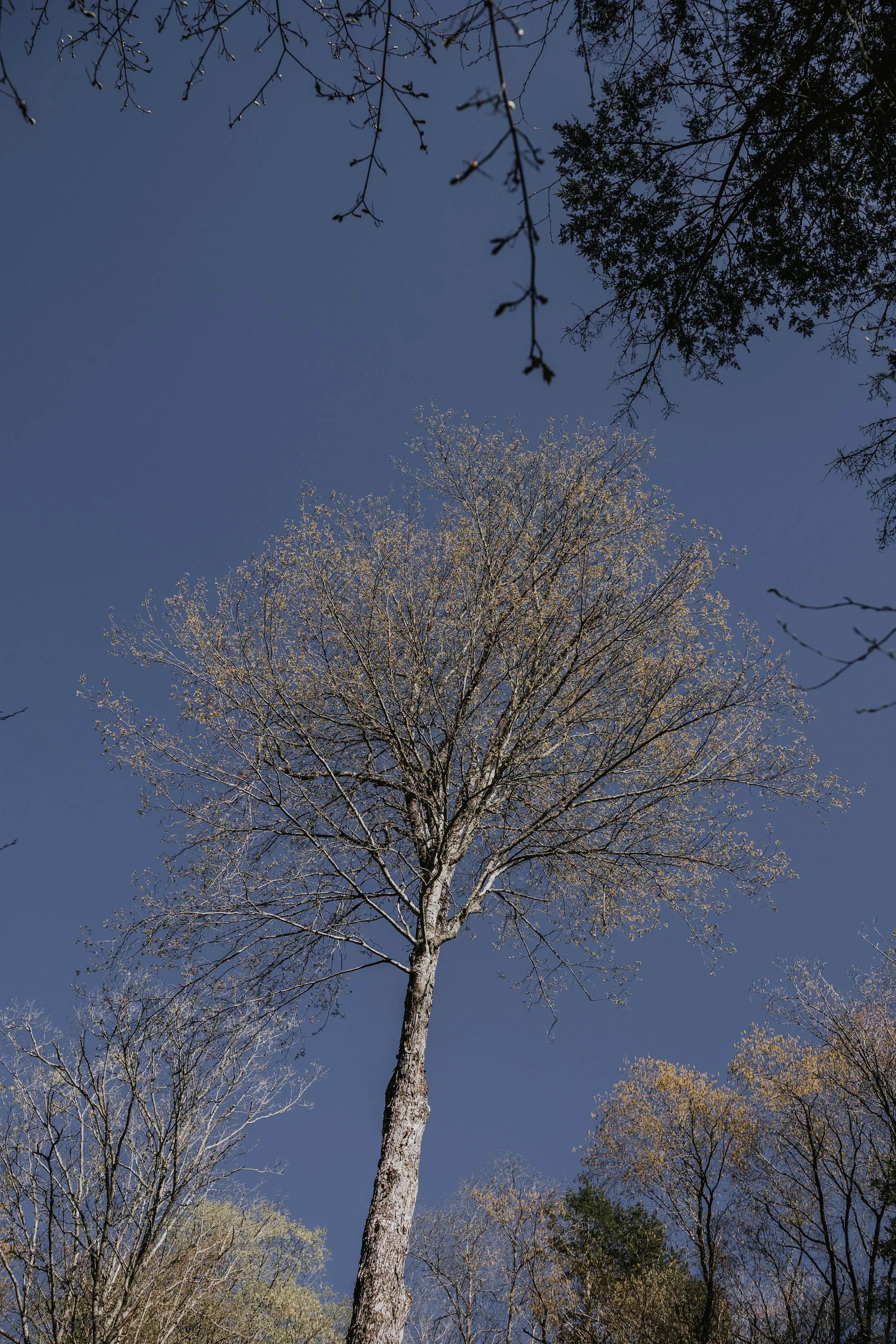 CA6A0004.jpg