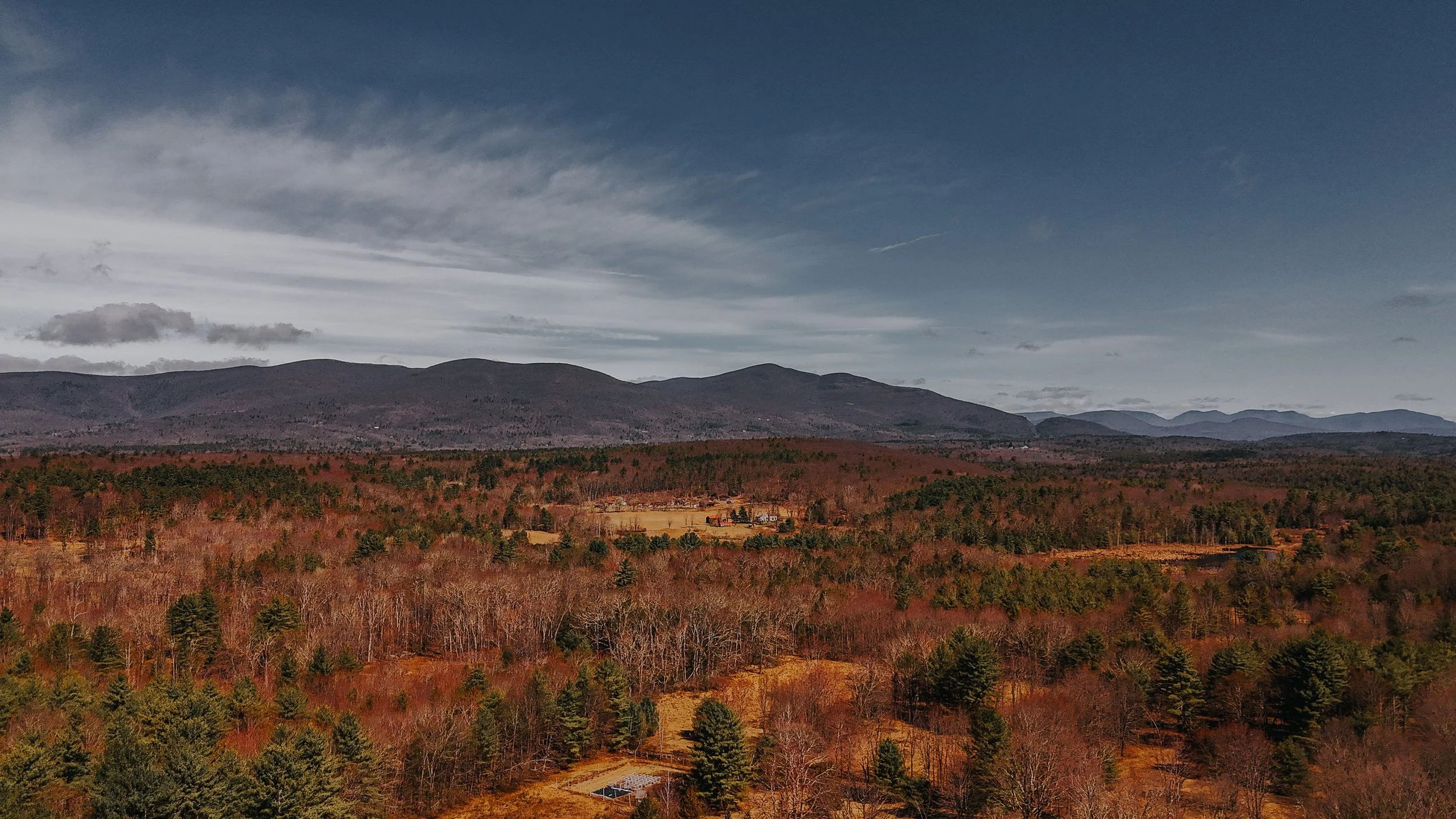 DJI_20250401112012_0016_D.jpg