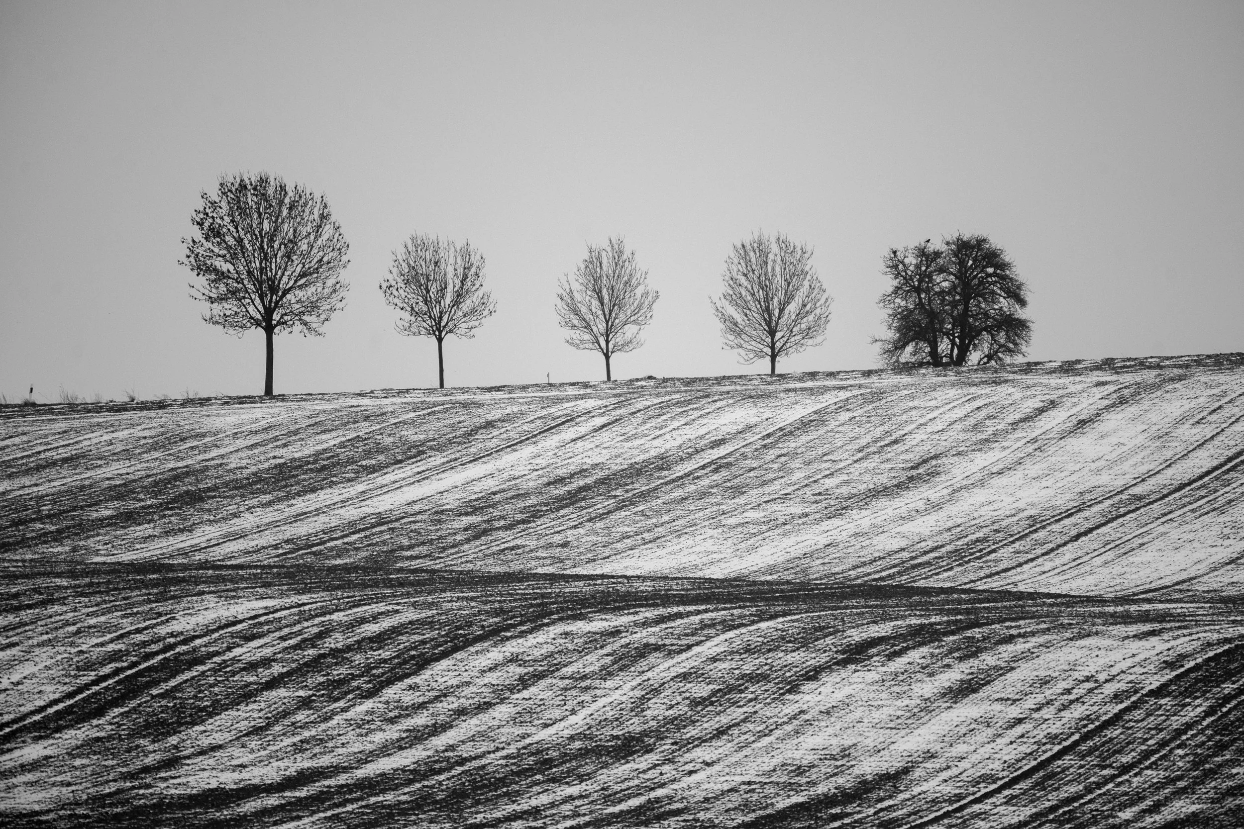 Fine_Art-Landscape-36.jpg