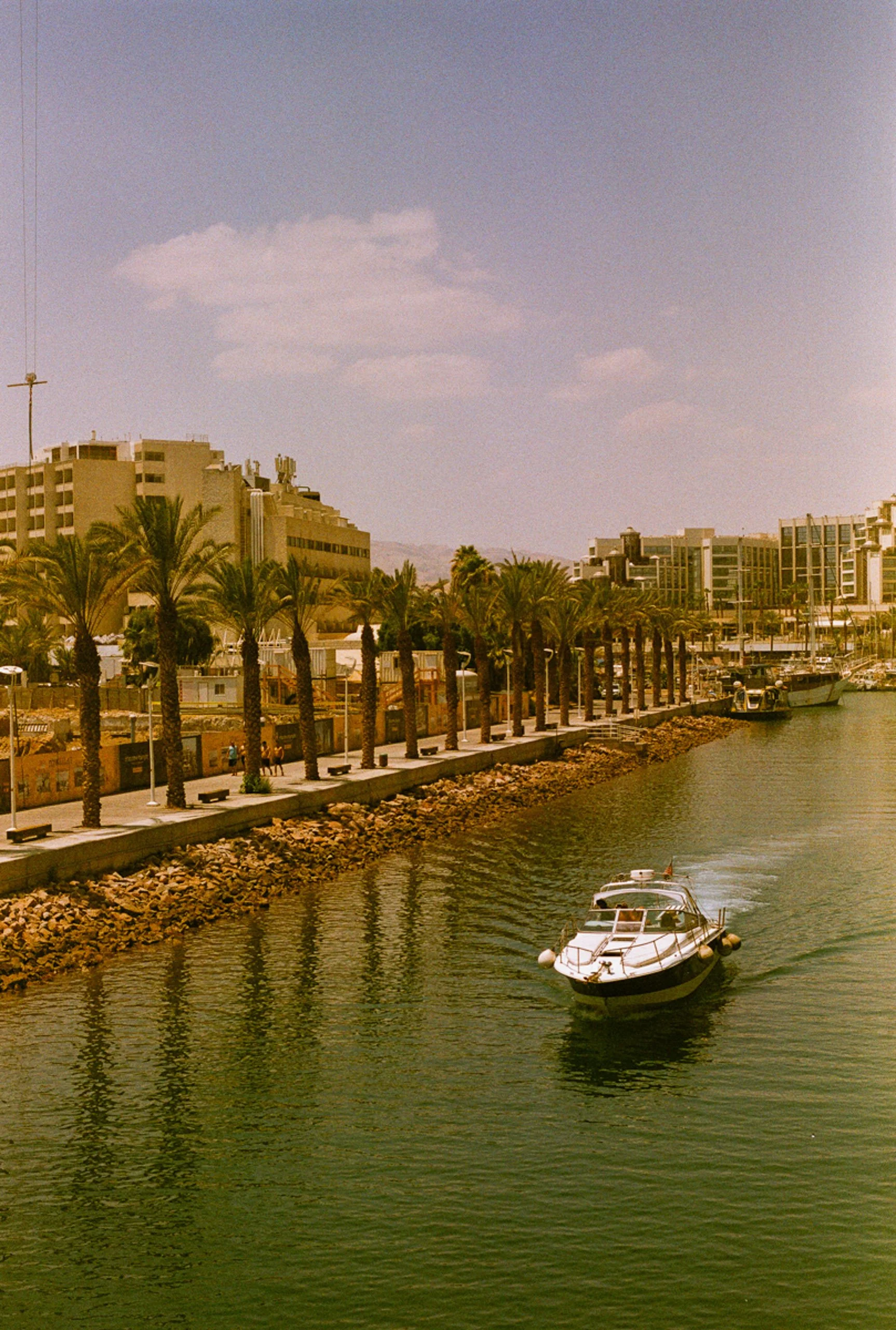 Fine_Art-Analog-11.jpg