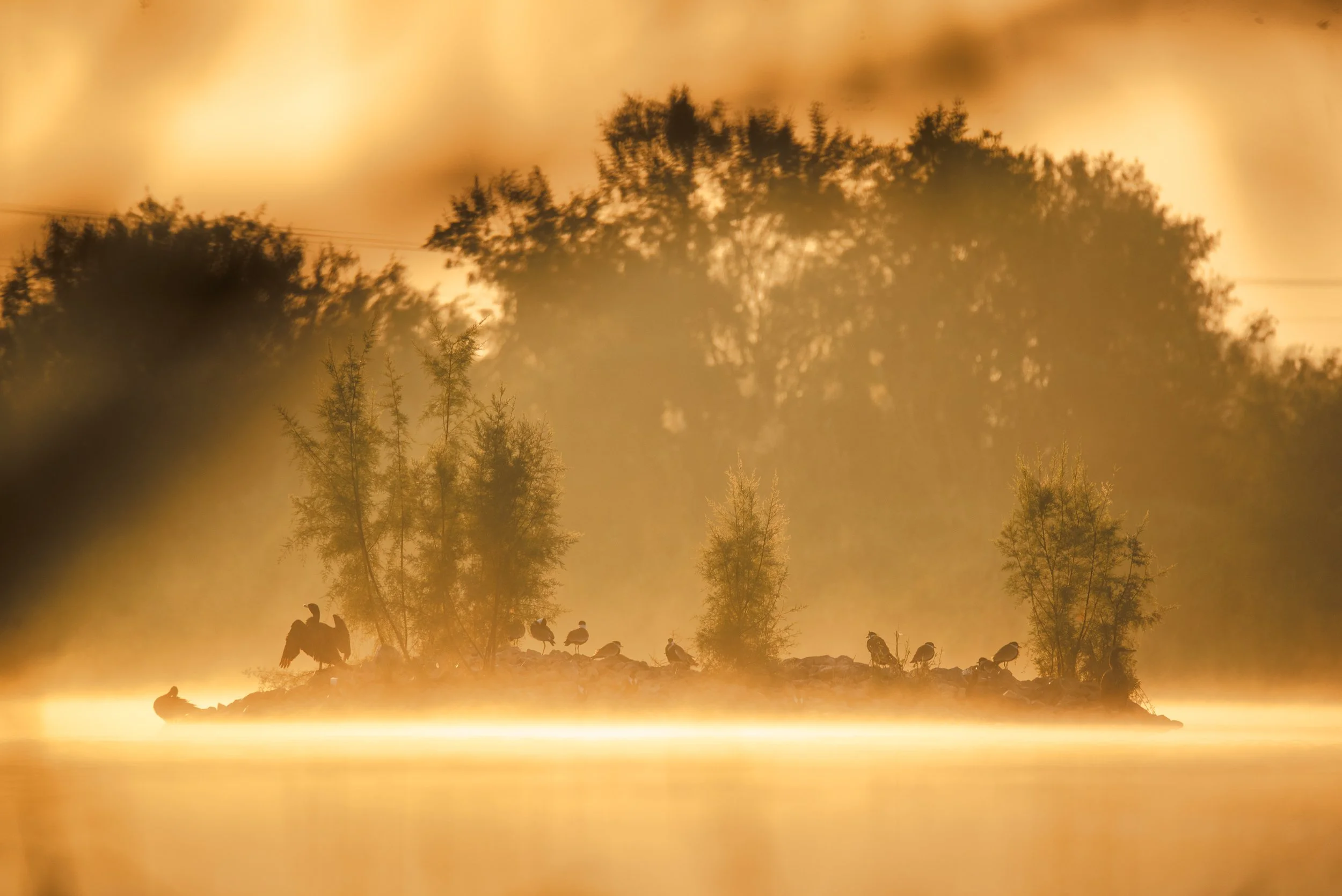 Fine_Art-Nature-4.jpg