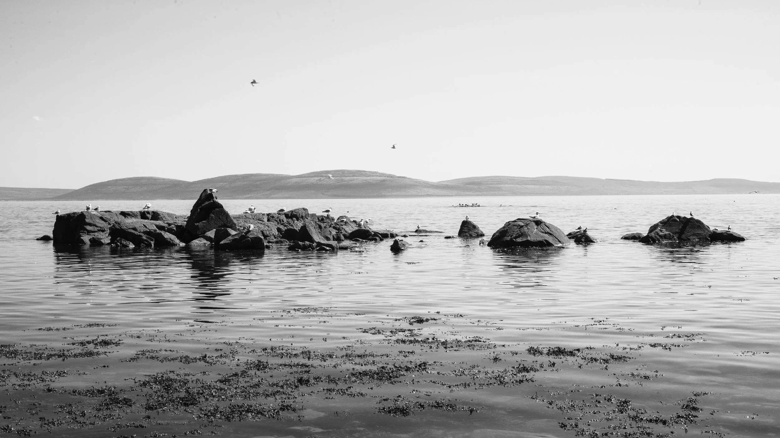 Fine_Art-Landscape-1.jpg