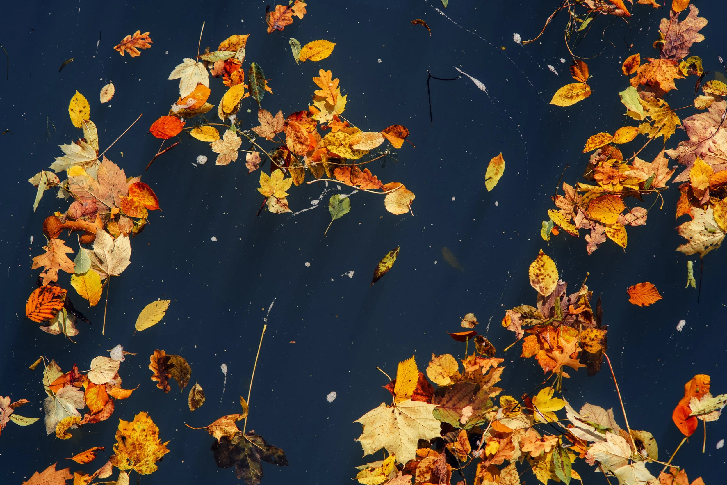 Fine_Art-Abstract-20.jpg