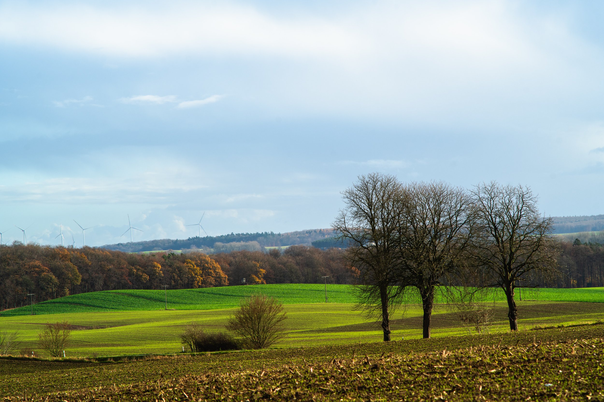 Fine_Art-Landscape-31.jpg