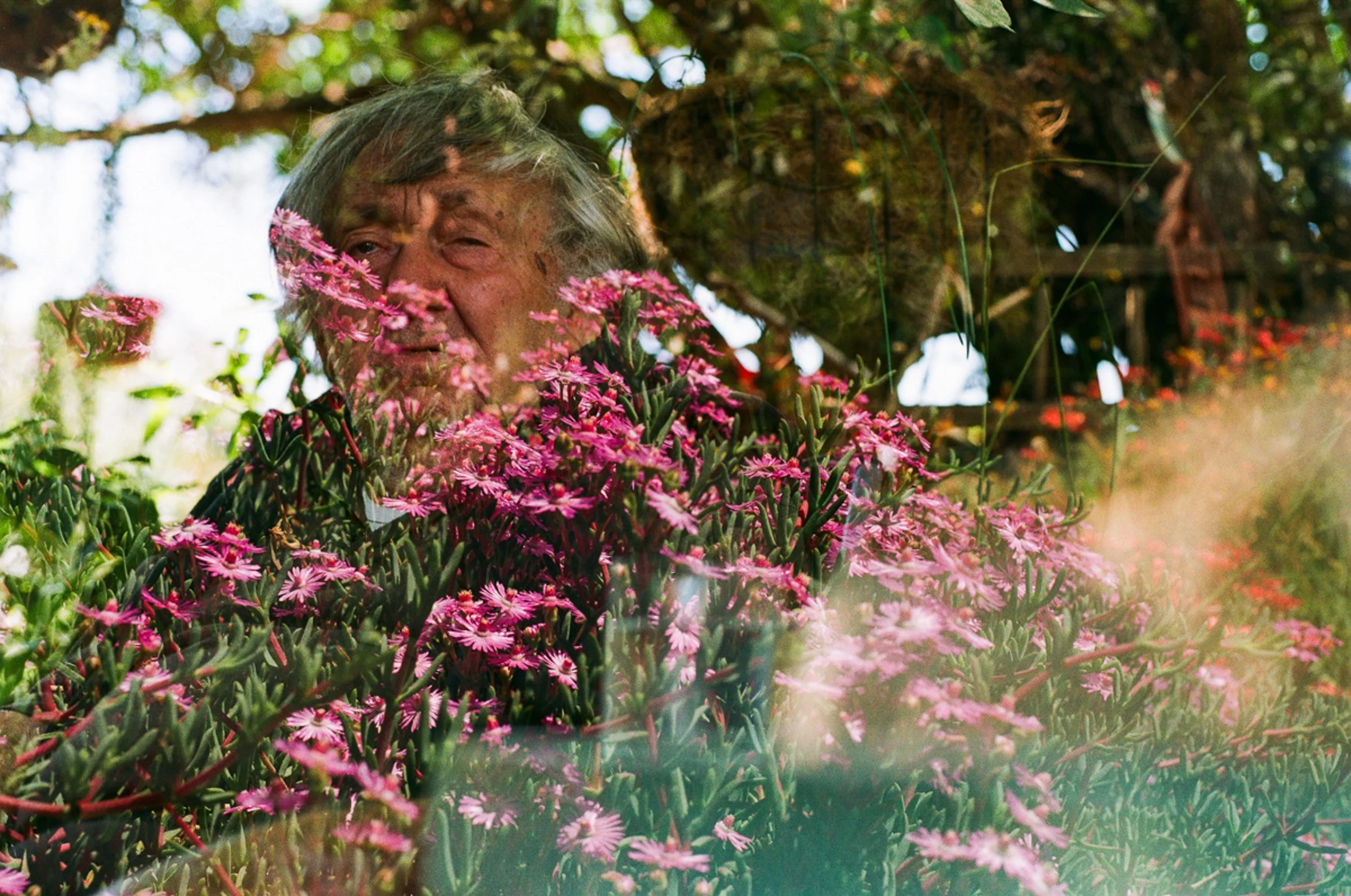 Portraits-Film-4.jpg