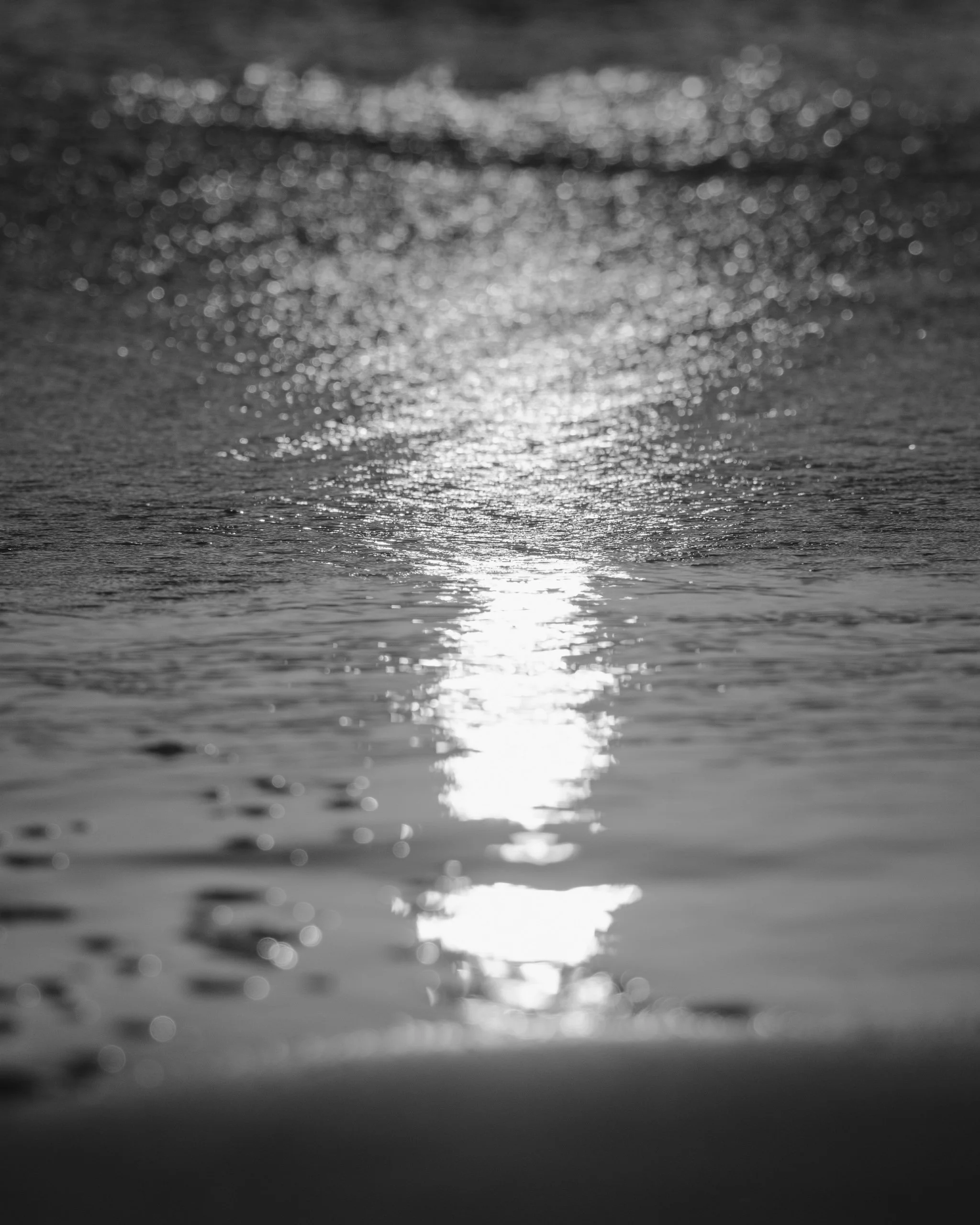 Fine_Art-Landscape-28.jpg