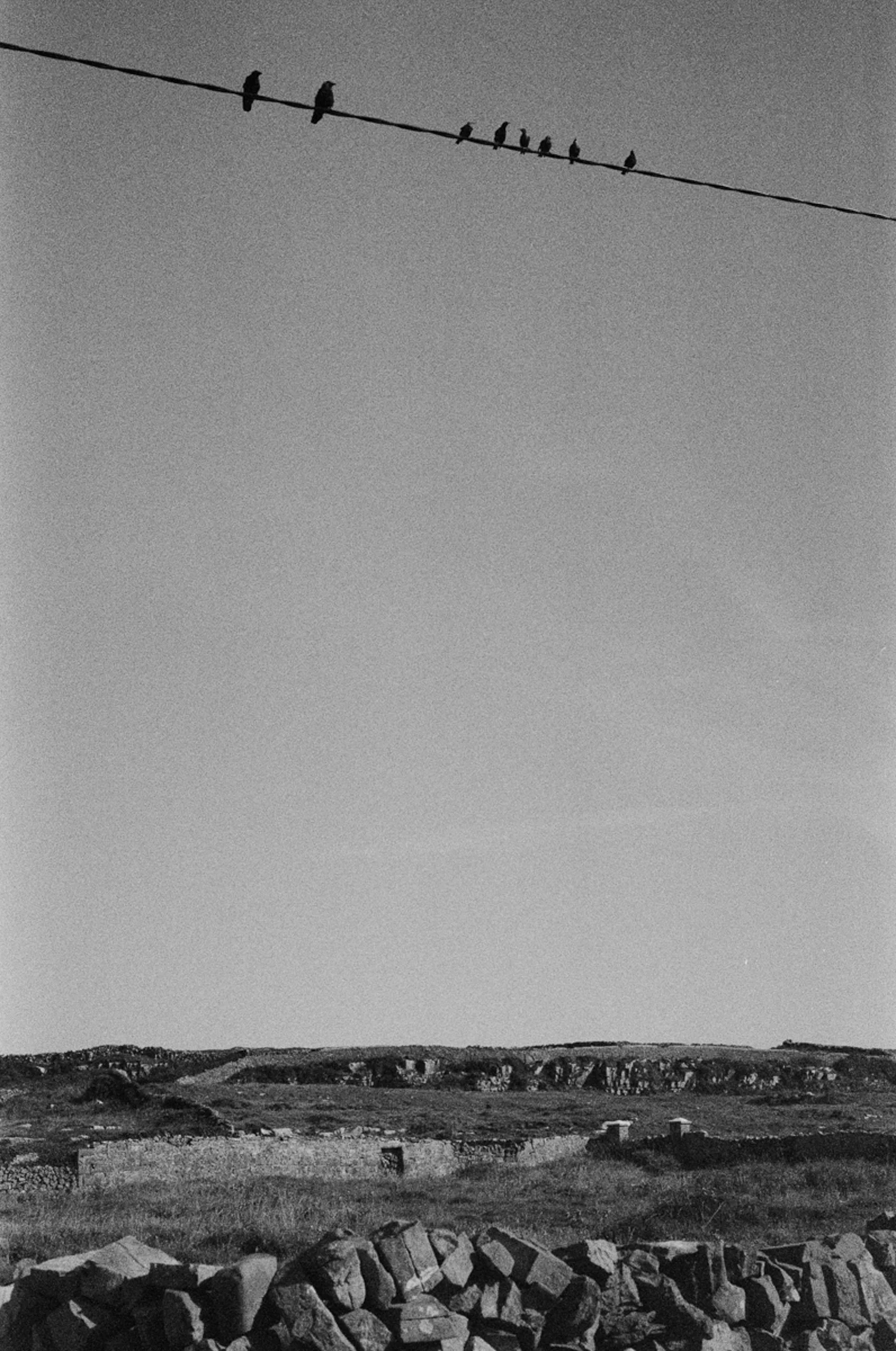 Fine_Art-Analog-36.jpg