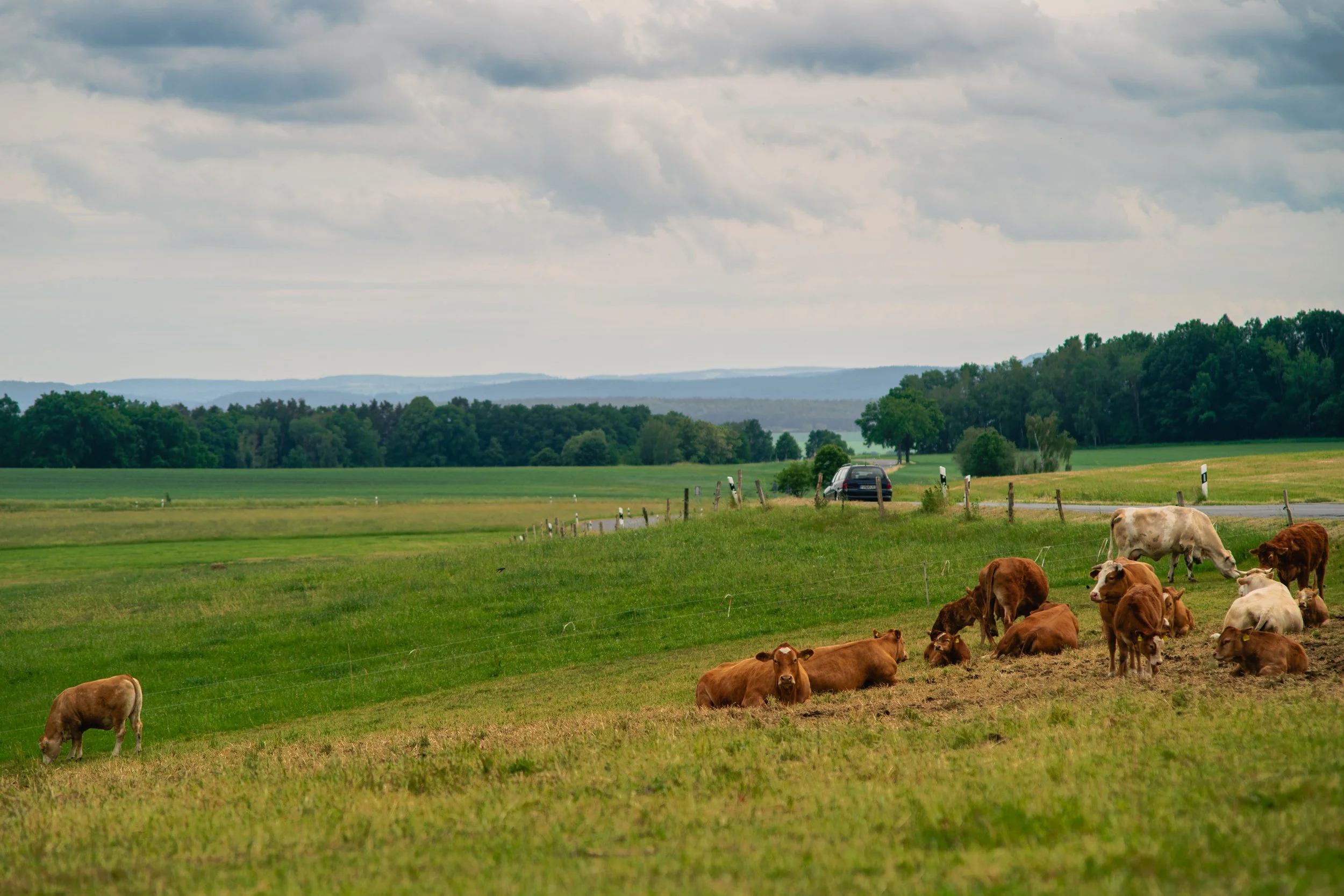 Fine_Art-Landscape-41.jpg