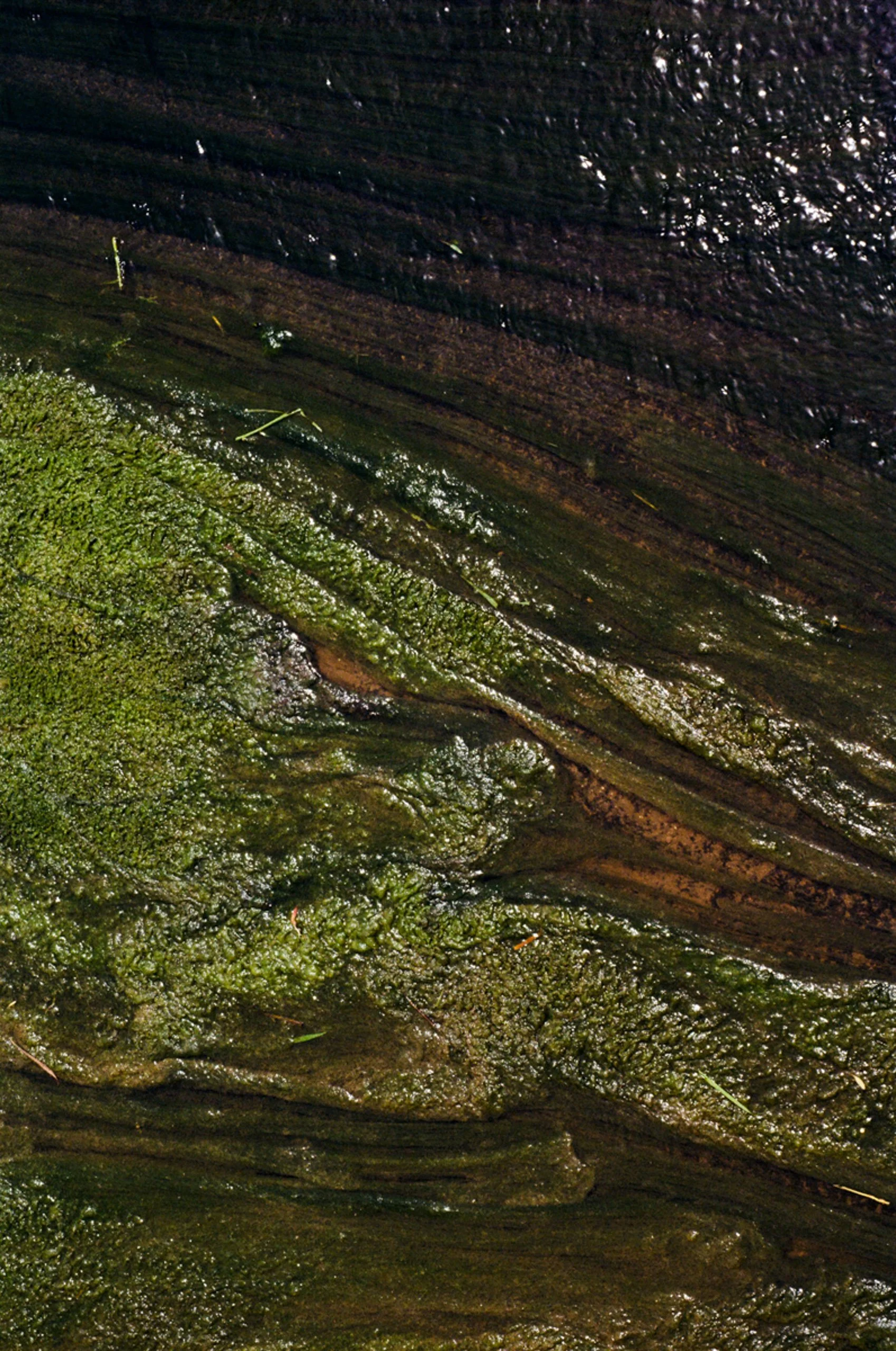 Fine_Art-Abstract-7.jpg