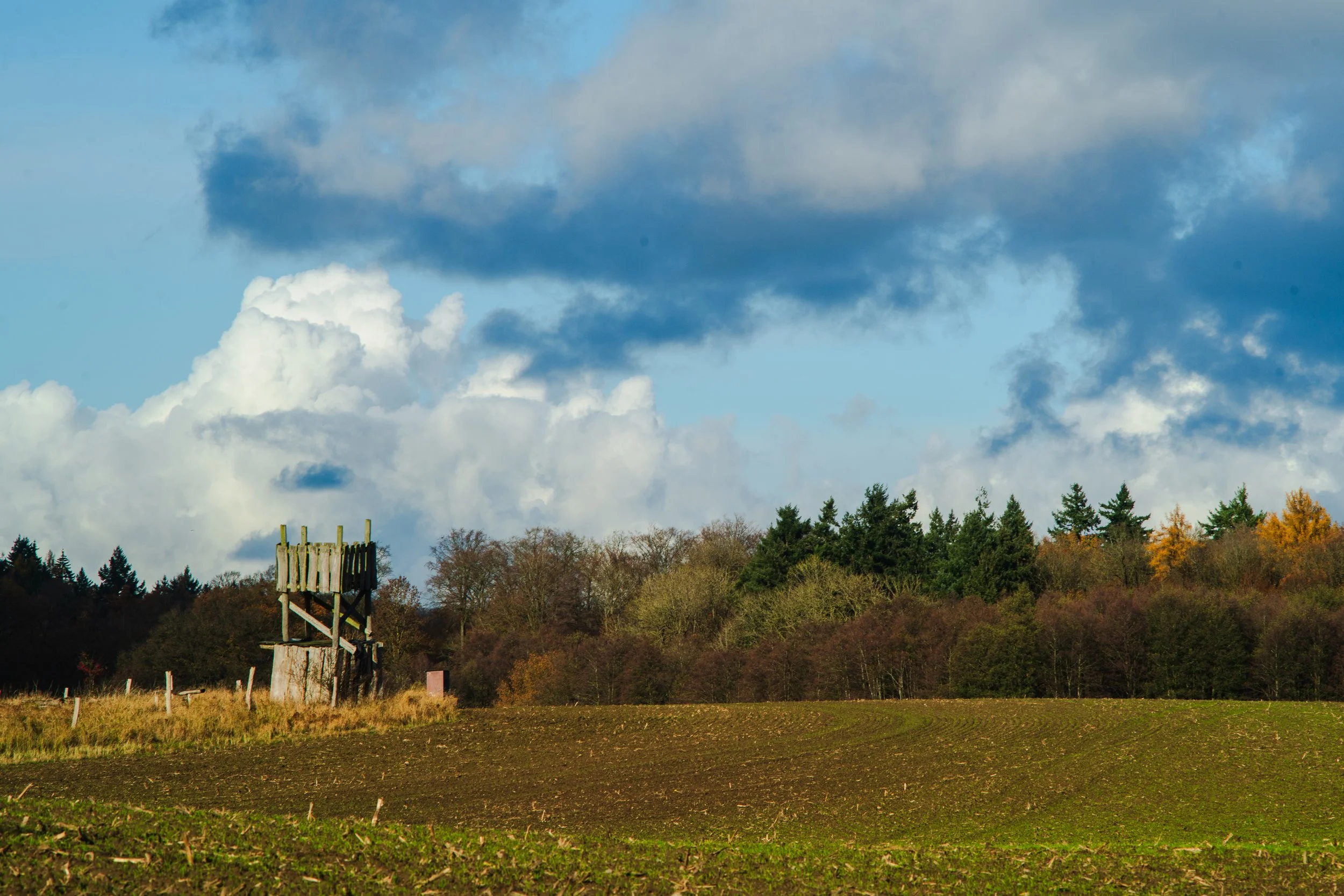 Fine_Art-Landscape-30.jpg