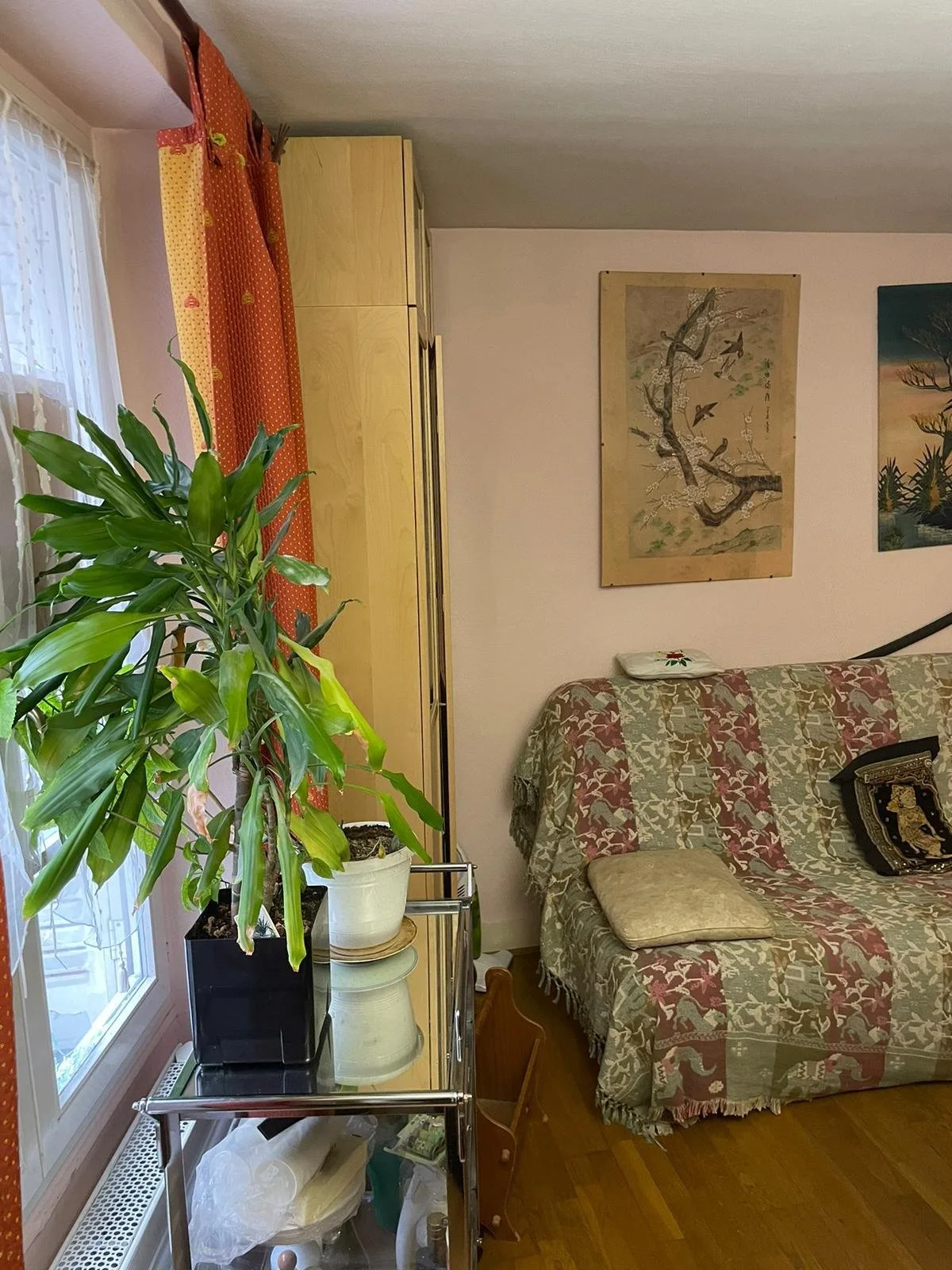 Un salon avec un canapé recouvert d'une couverture à motifs, une plante verte en pot sur une table en métal, une fenêtre avec rideaux en tissu orange à pois, et deux tableaux suspendus sur le mur.