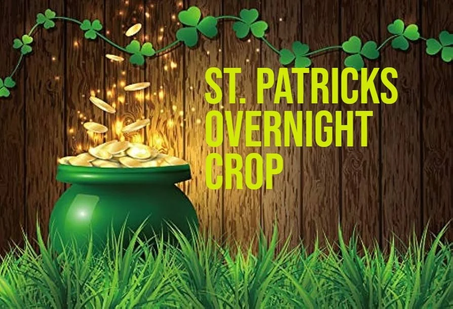 St Paddys.jpg