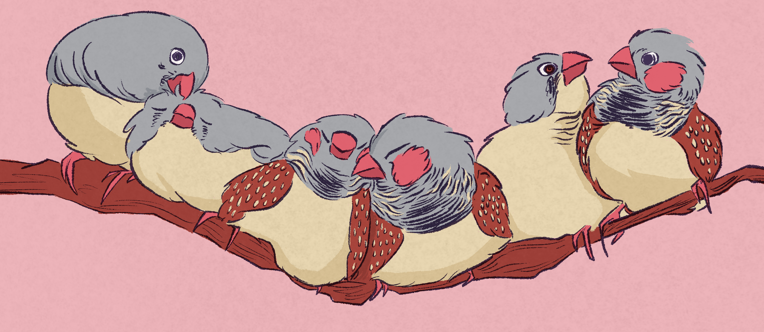 Talk Back: Chatting Local Politics